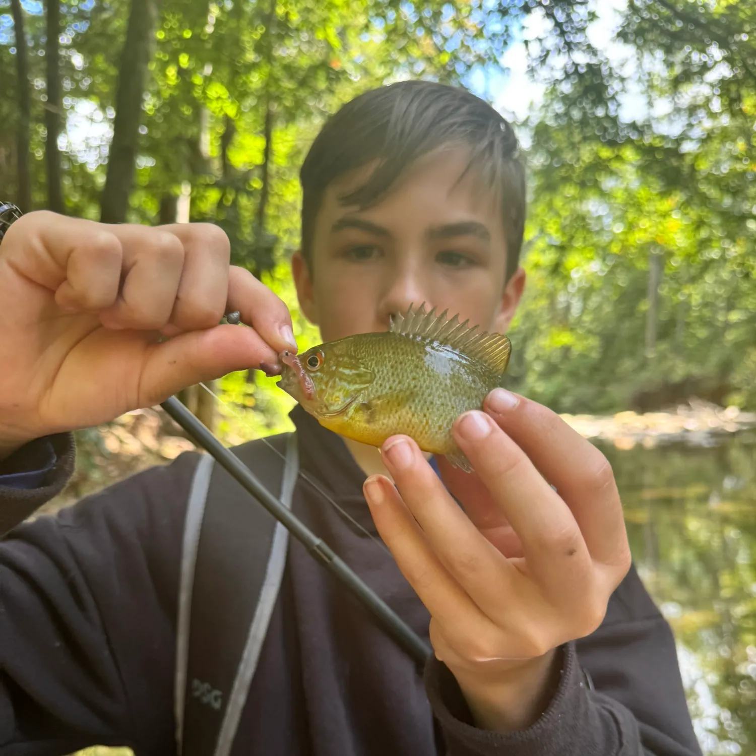 The most recent Orangespotted sunfish catches on Fishbrain
