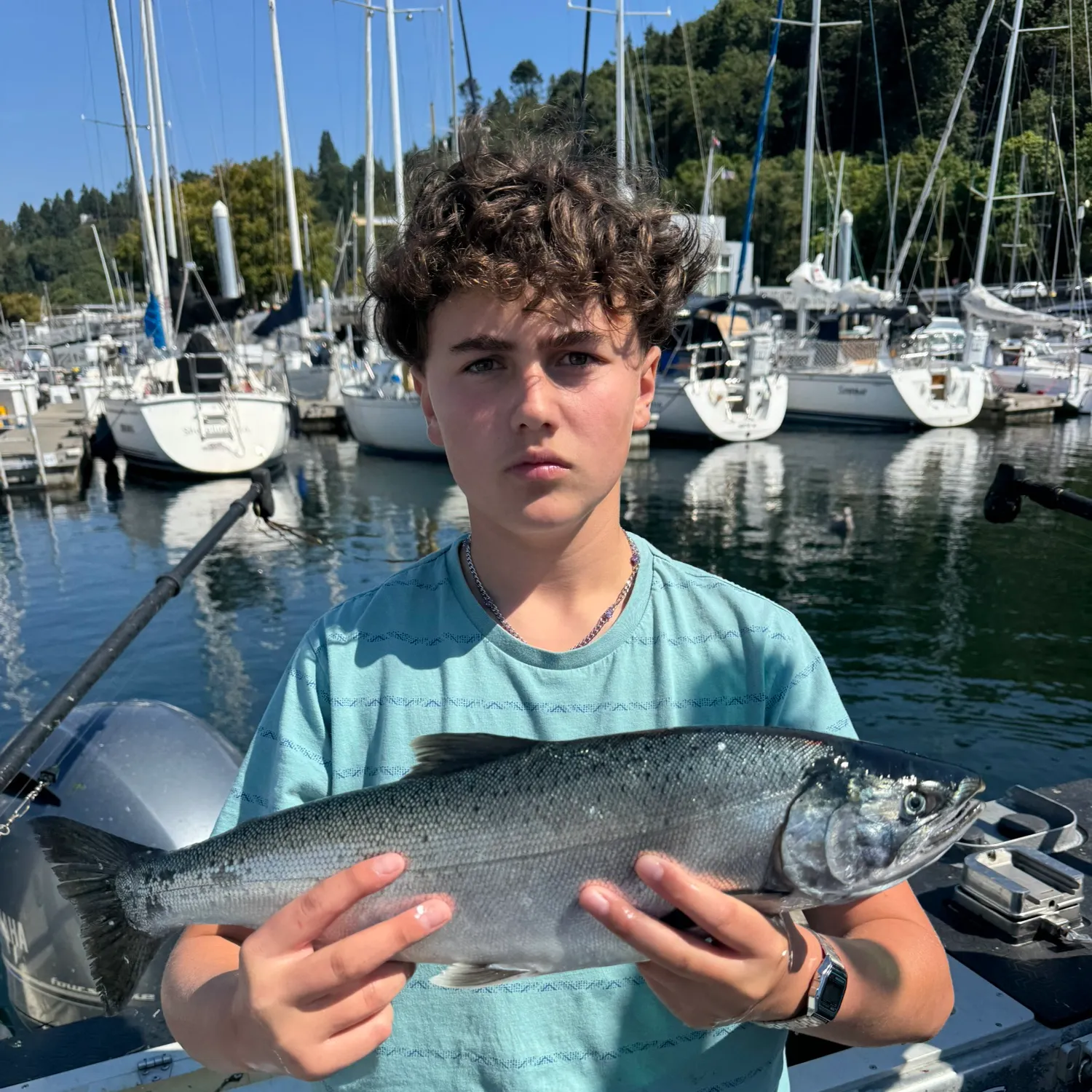 Coho salmon caught on Fishbrain