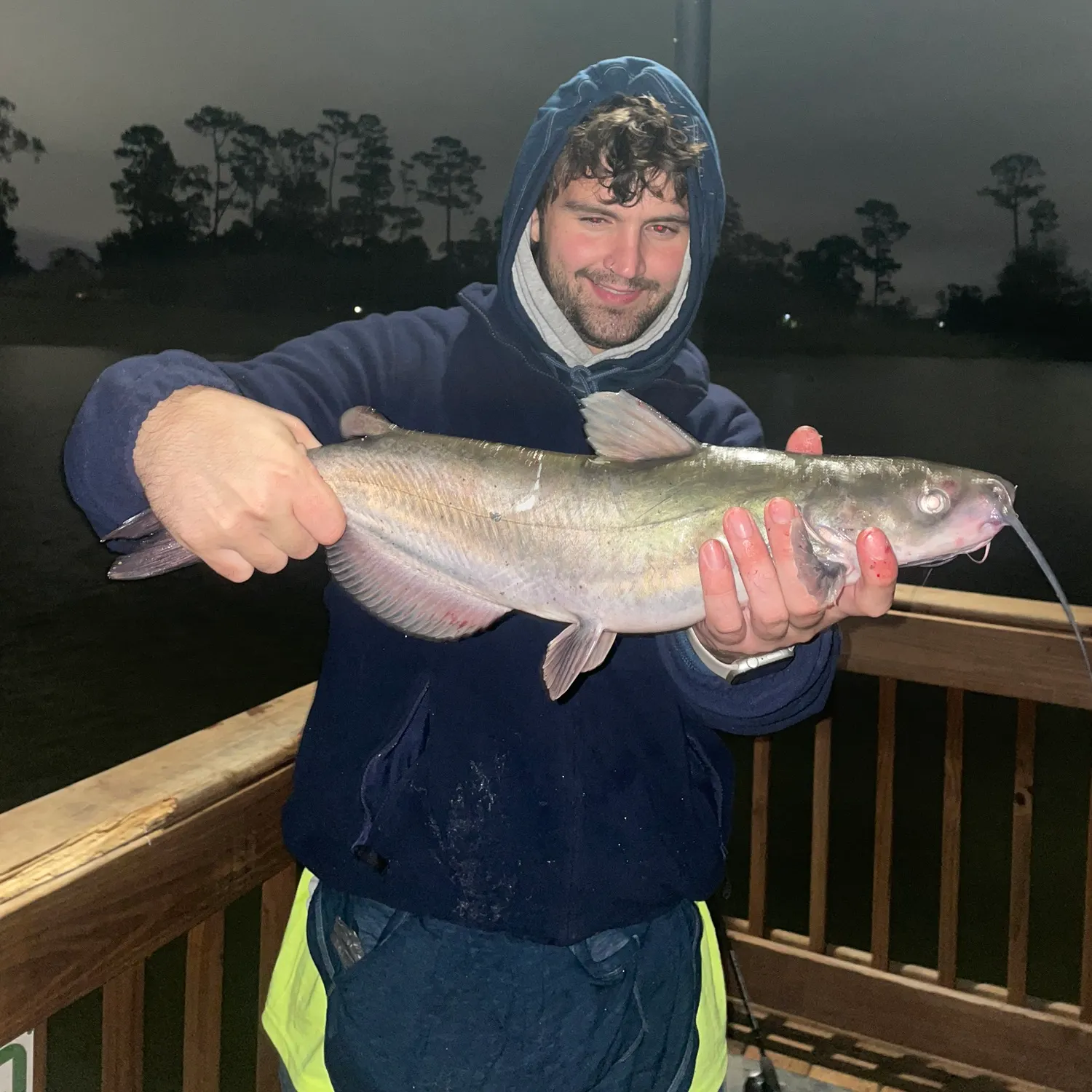 The most recent Blue catfish catches on Fishbrain