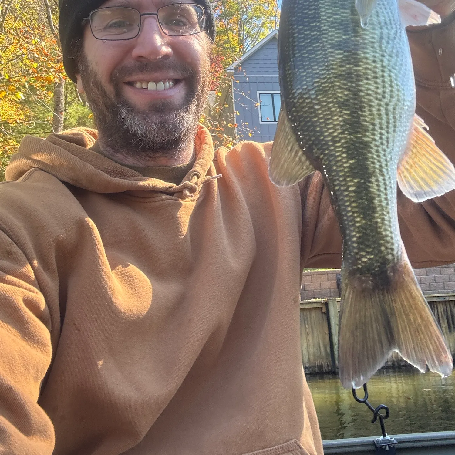 Spotted bass caught on Fishbrain