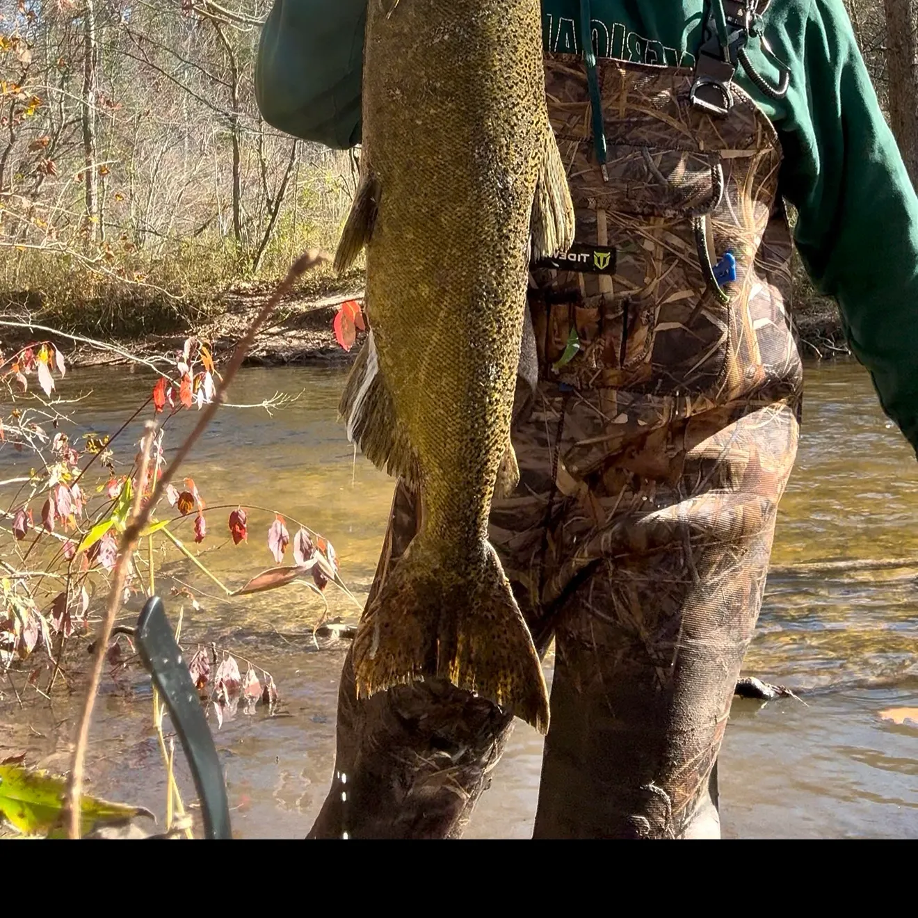 Chinook salmon caught on Fishbrain