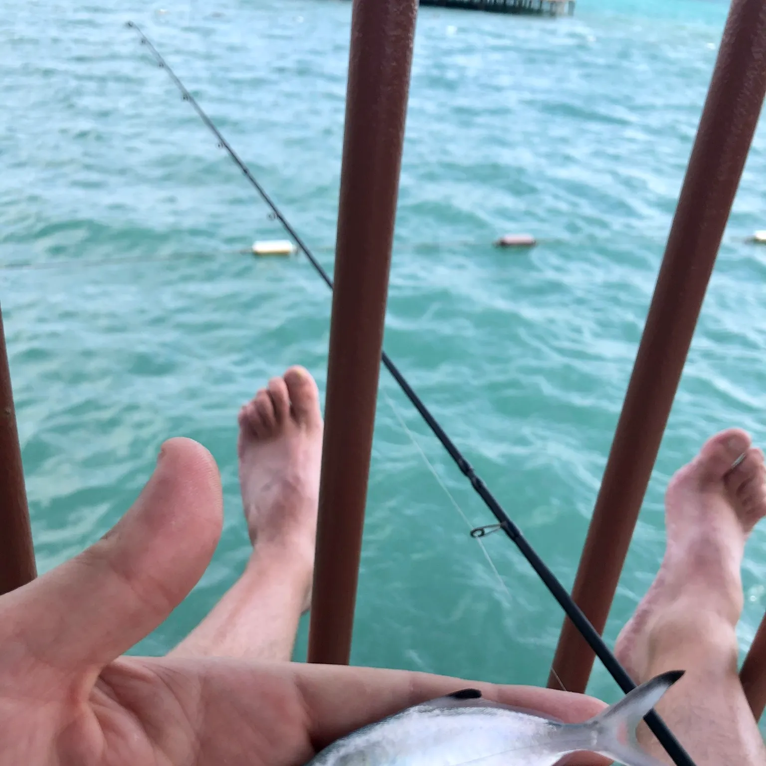 The most popular recent Derbio catch on Fishbrain