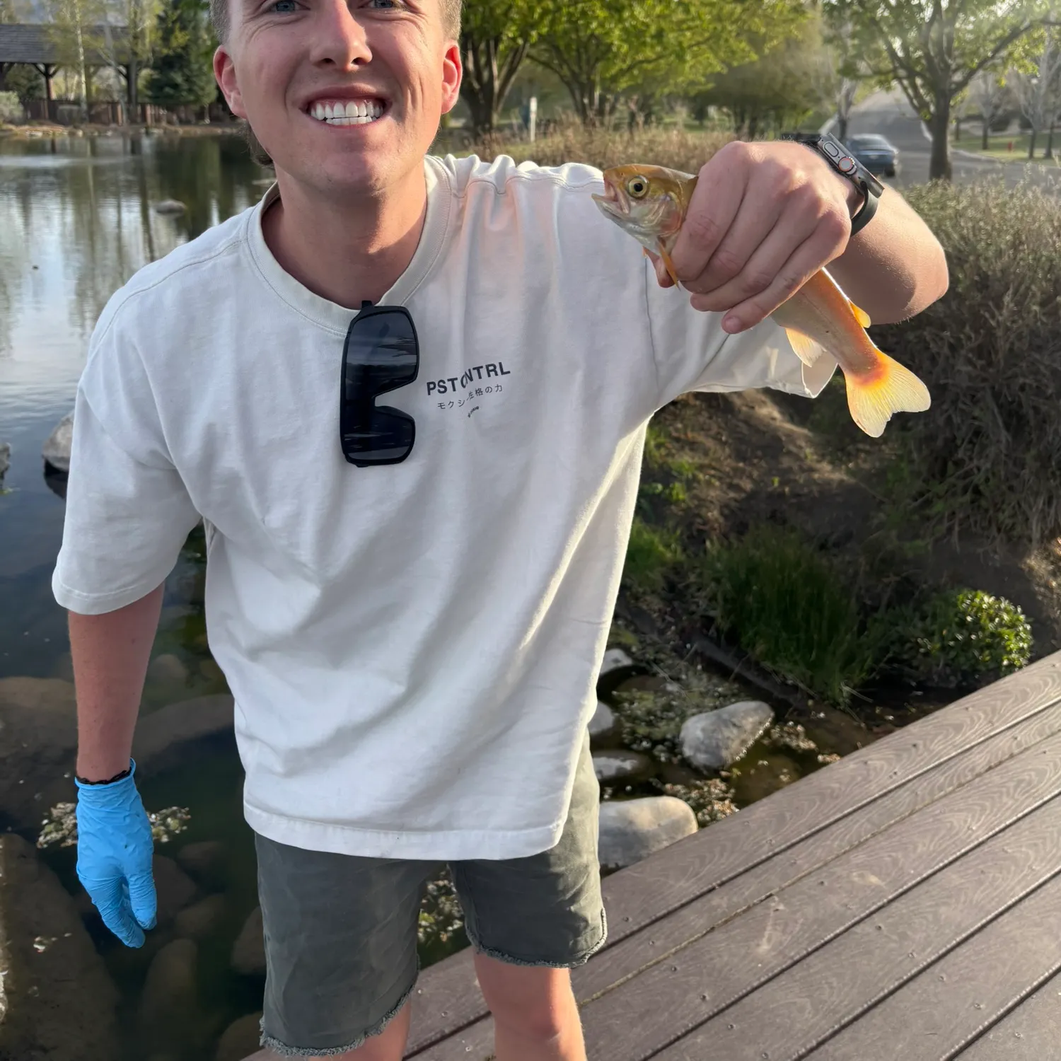 catch