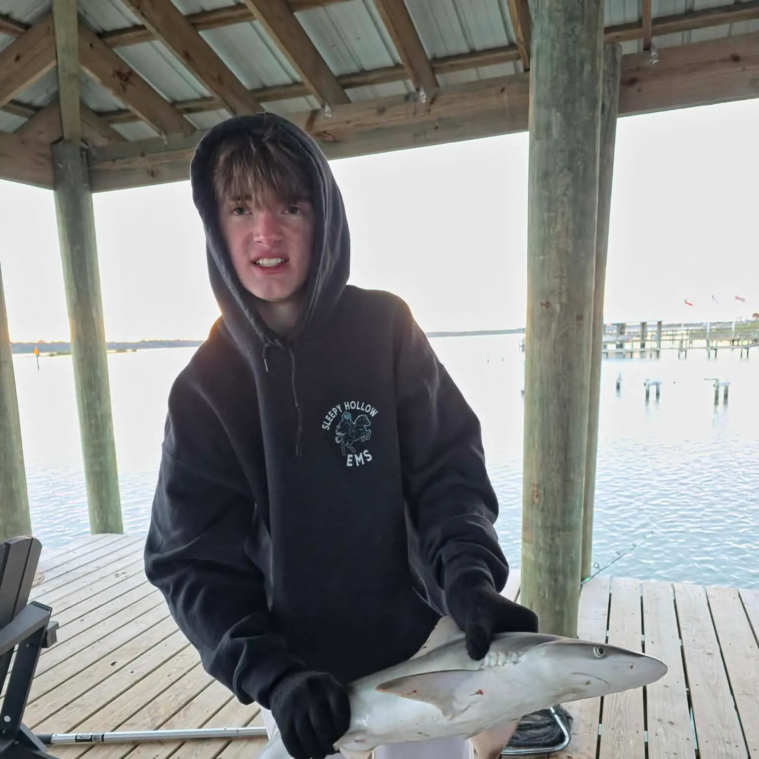 The most recent Sandbar shark catches on Fishbrain