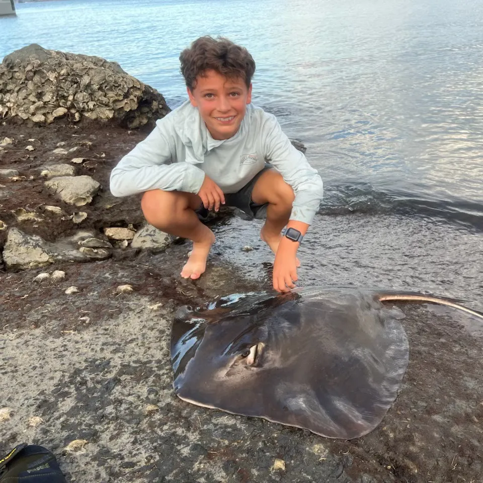The most recent Diamond stingray catches on Fishbrain