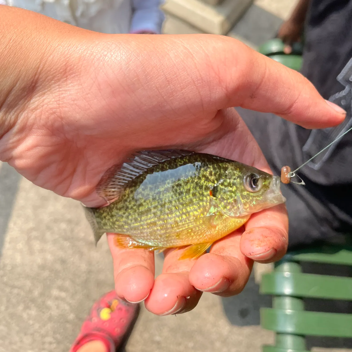 catch