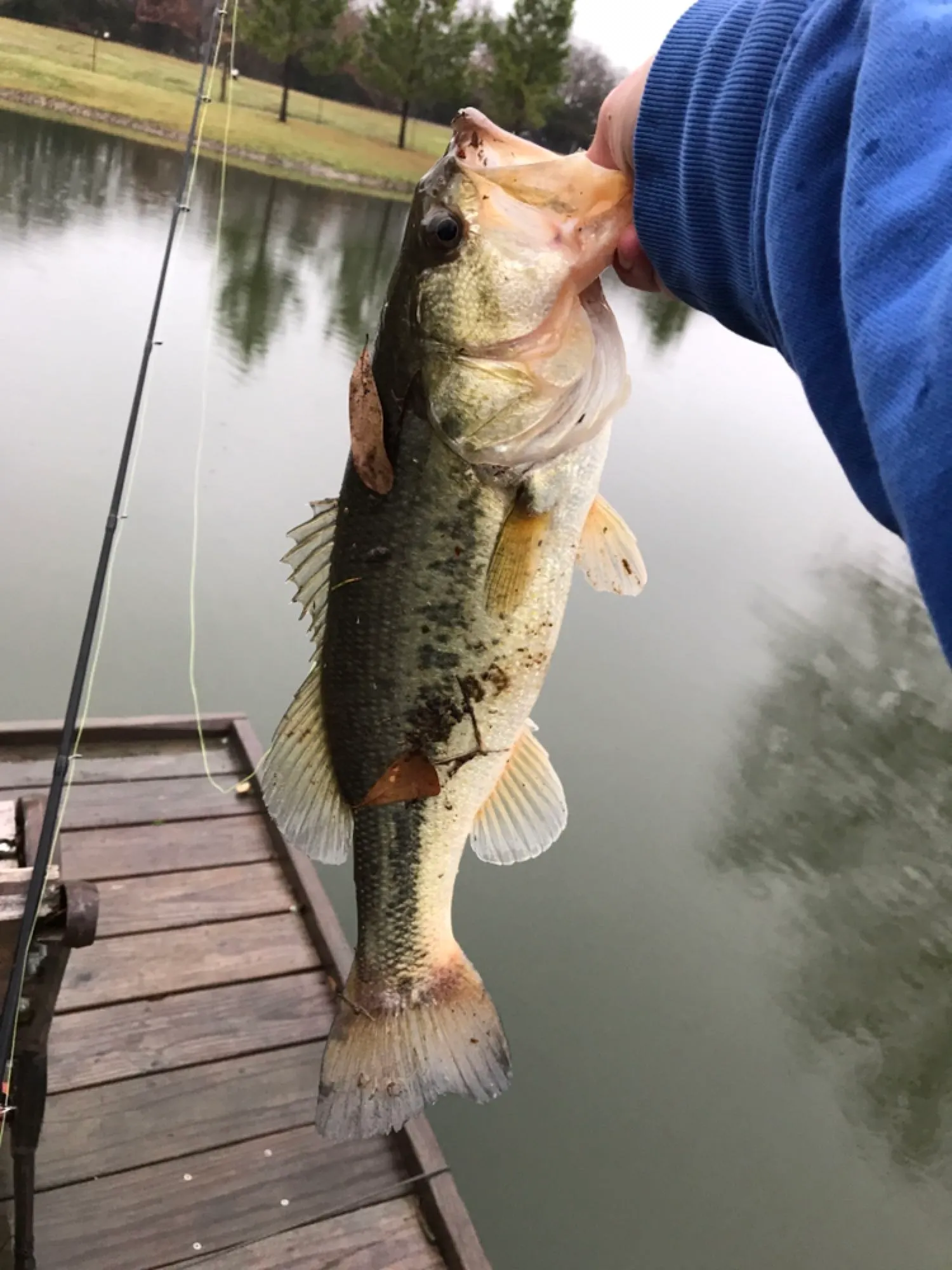 Post image from hritz