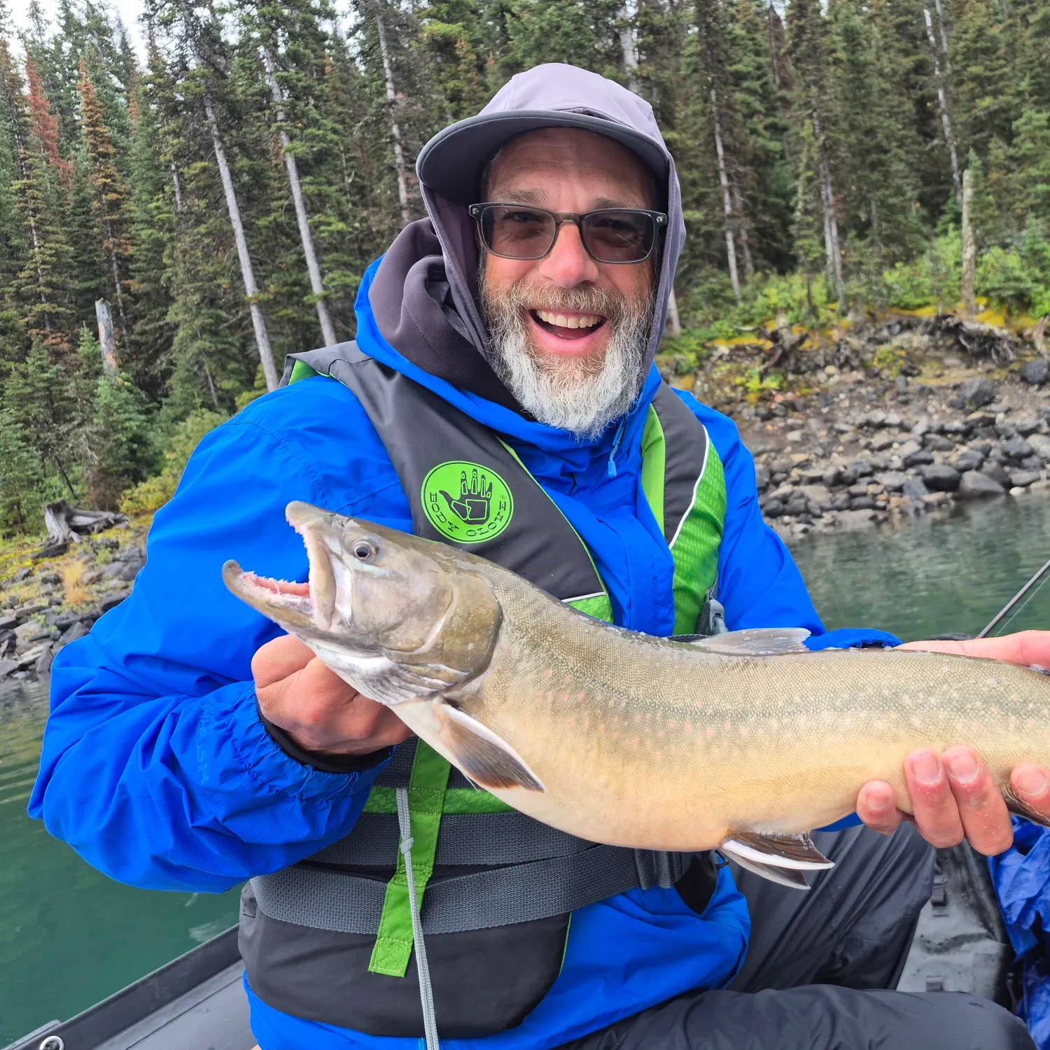 Bull trout caught on Fishbrain