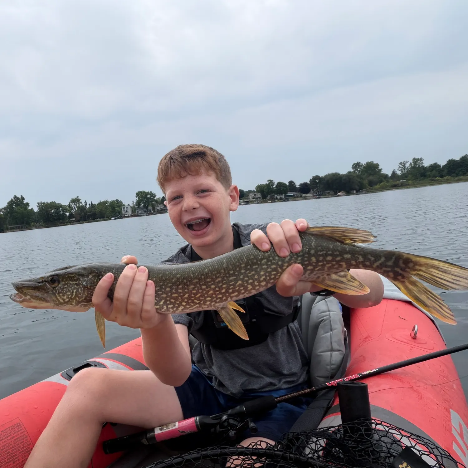 Northern pike caught on Fishbrain