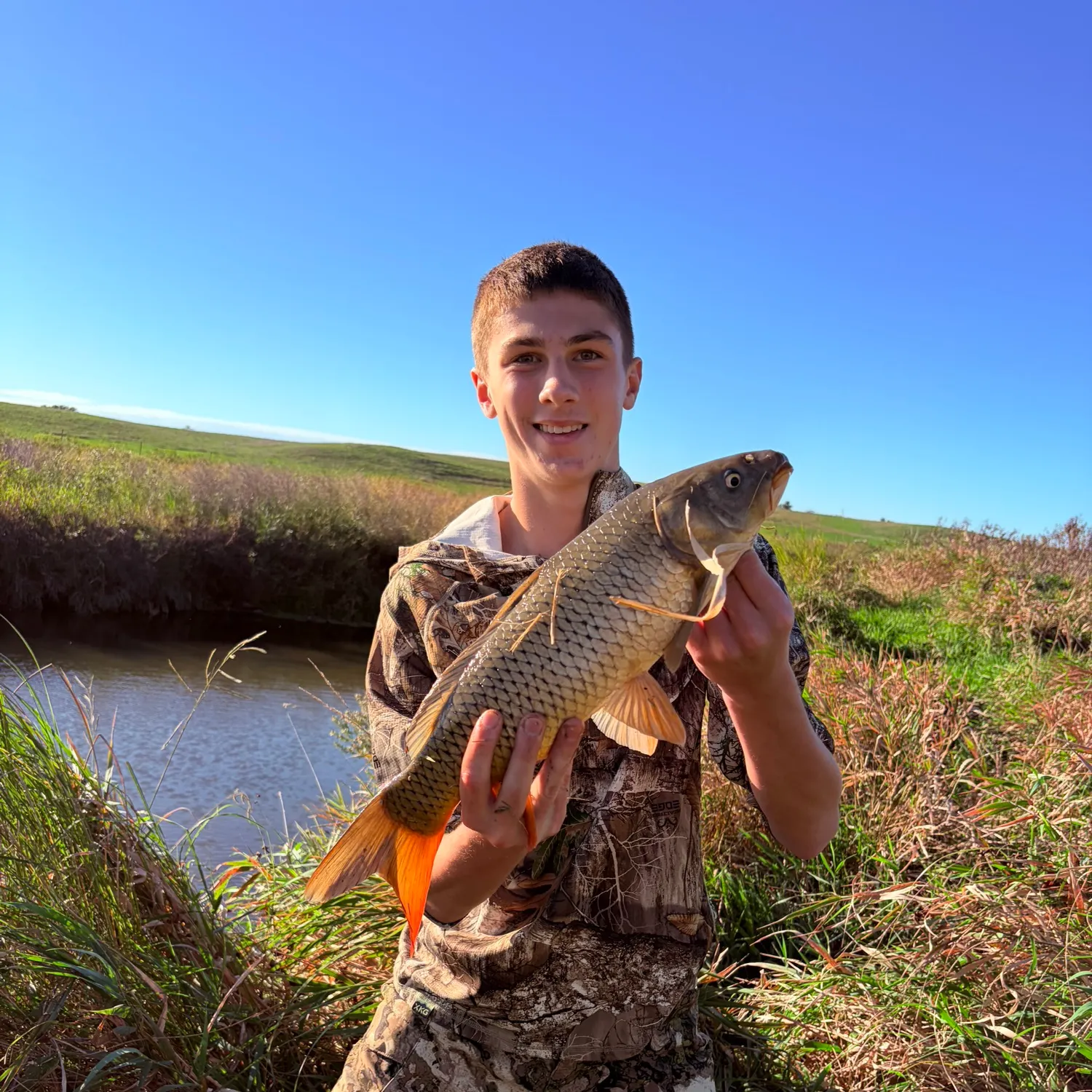 Common carp caught on Fishbrain