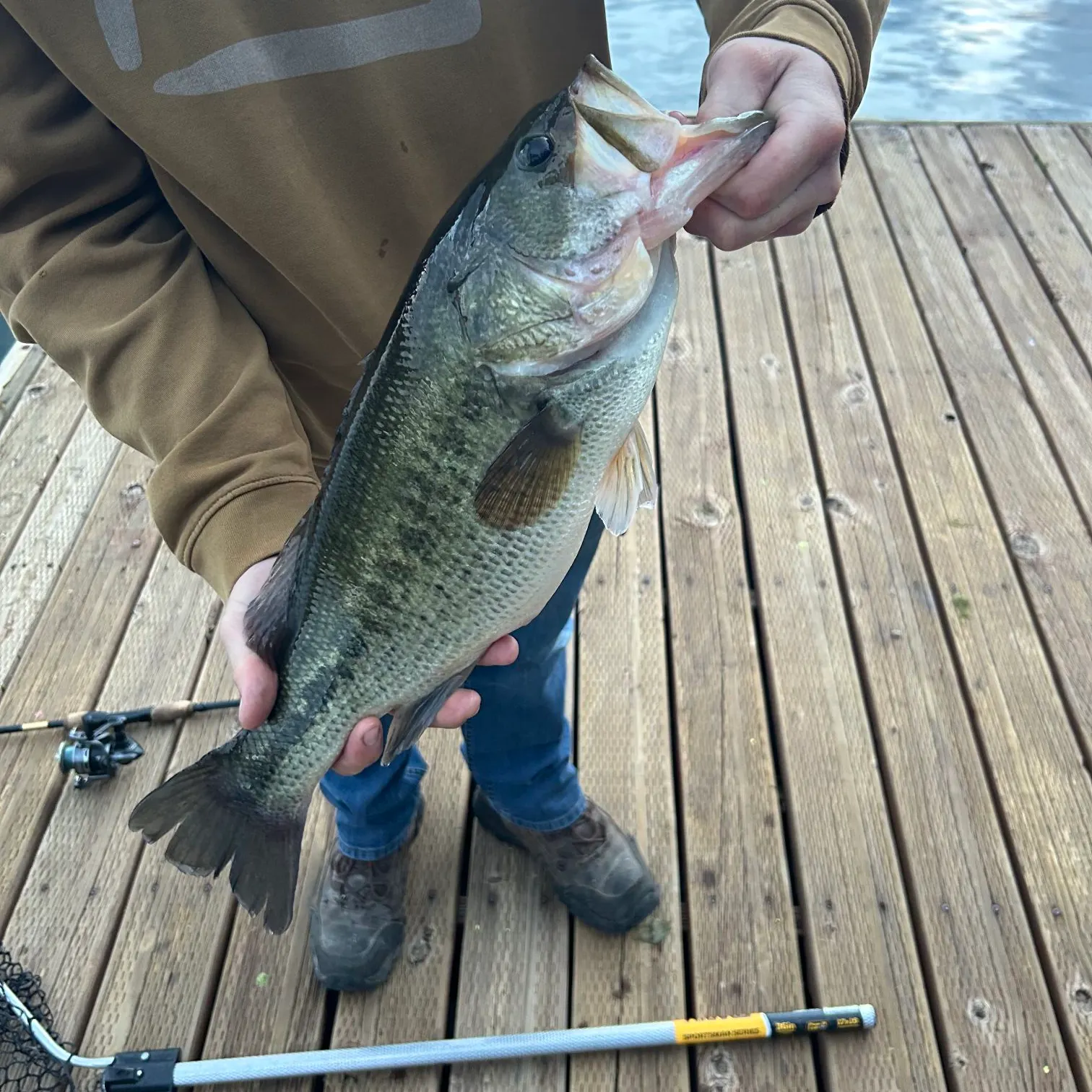 Largemouth bass caught on Fishbrain
