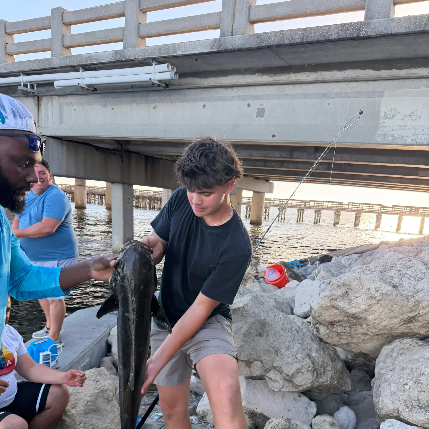 The most recent Cobia catches on Fishbrain