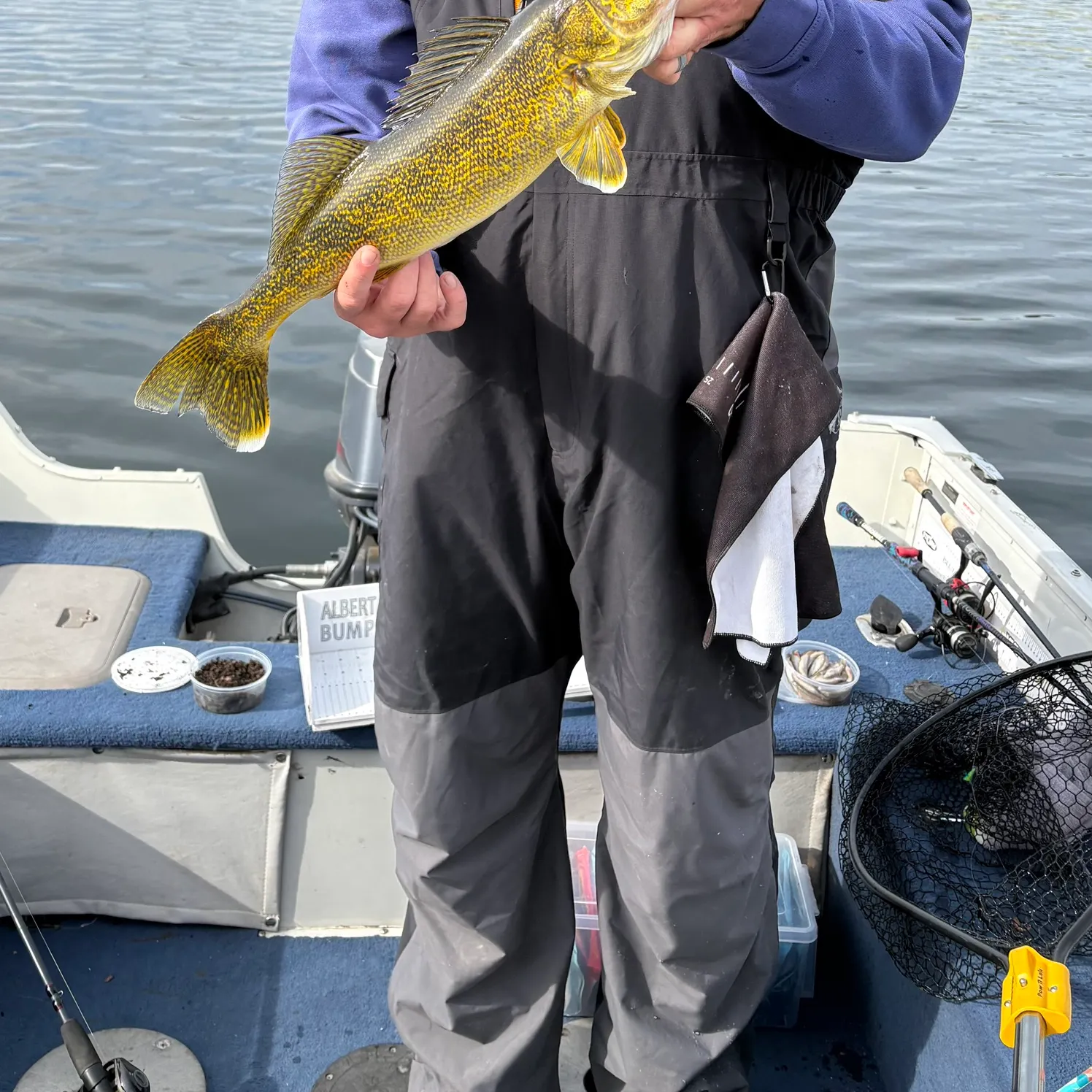 Walleye caught on Fishbrain