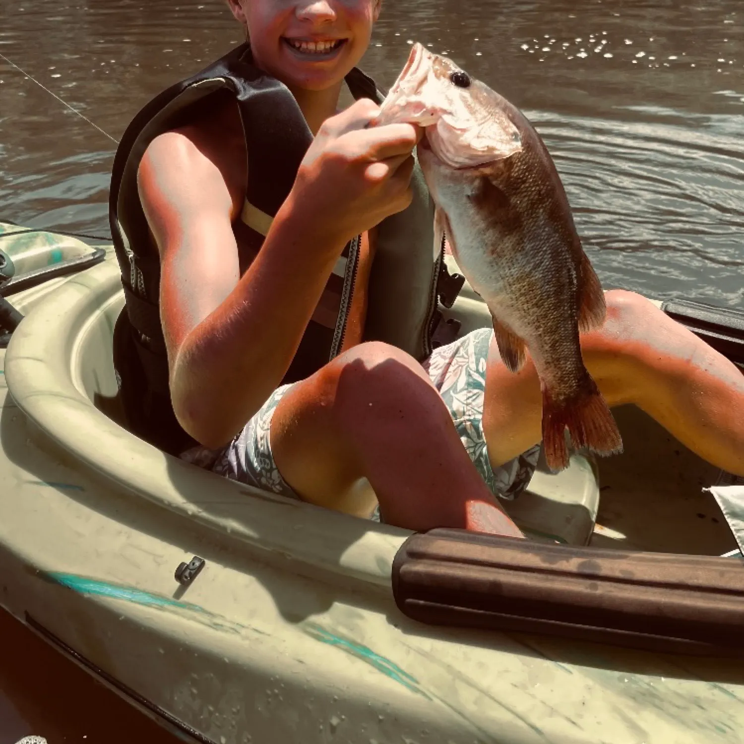 The most recent Shoal bass catches on Fishbrain