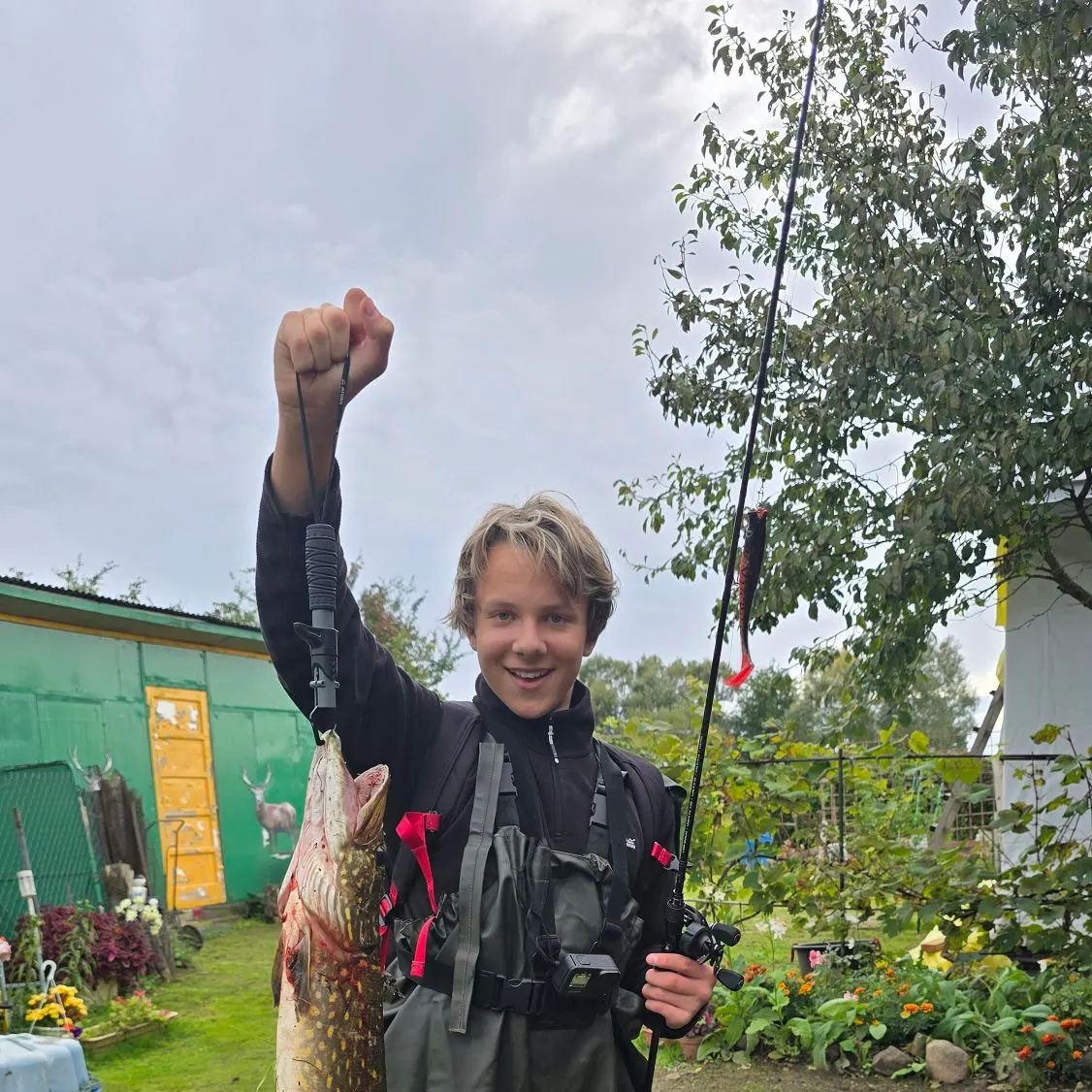Northern pike caught on Fishbrain