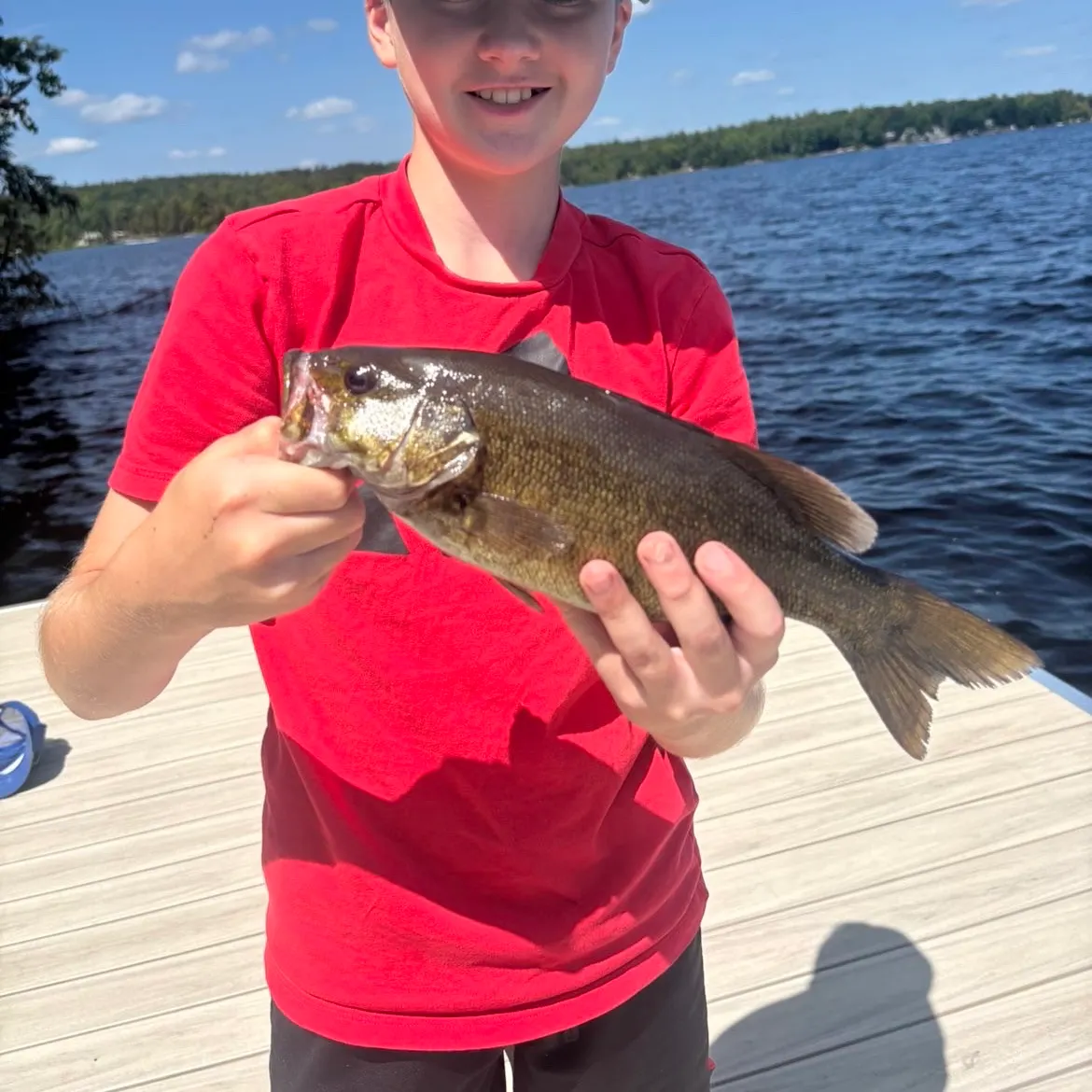 Smallmouth bass caught on Fishbrain