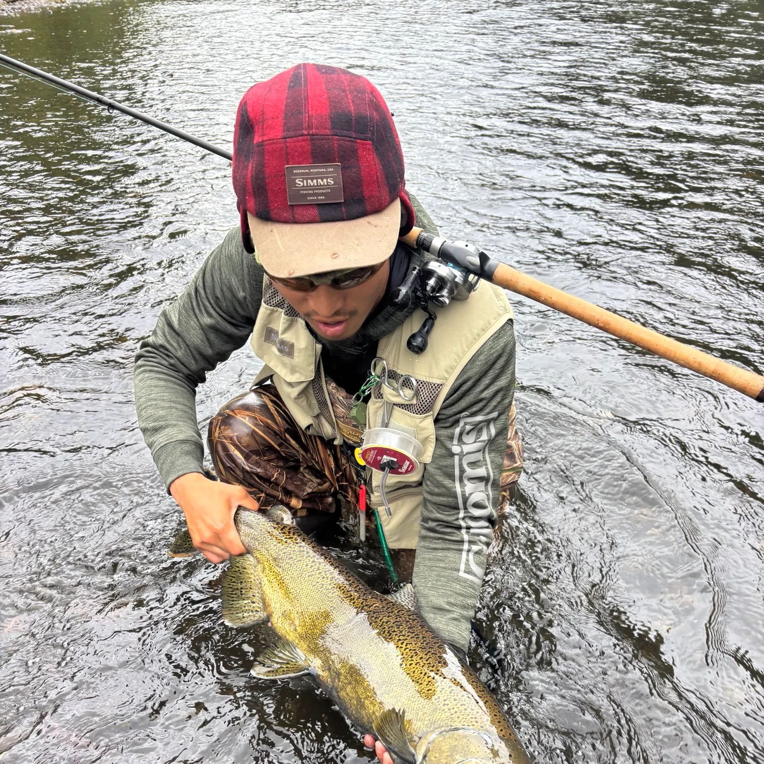 Chinook salmon caught on Fishbrain