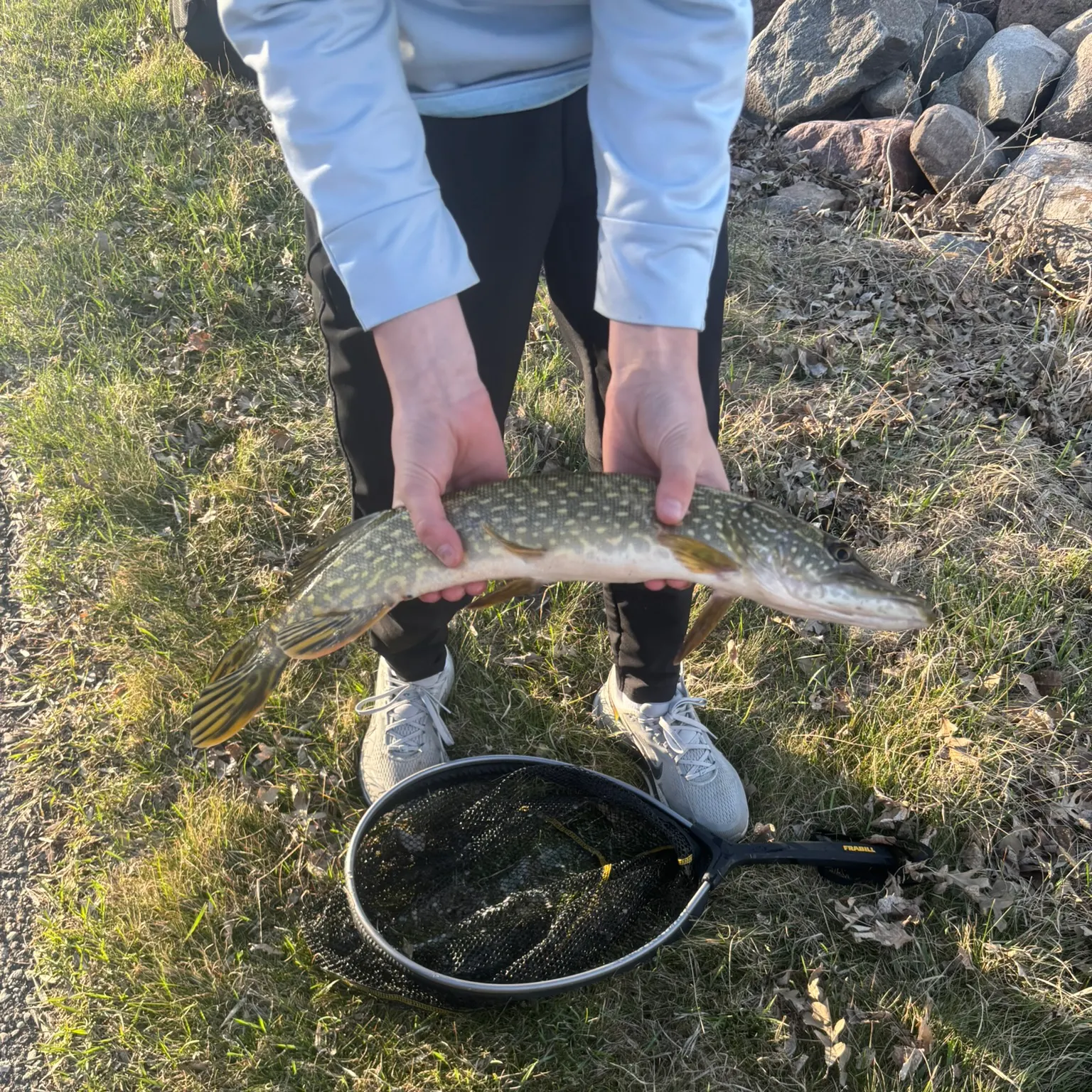 catch