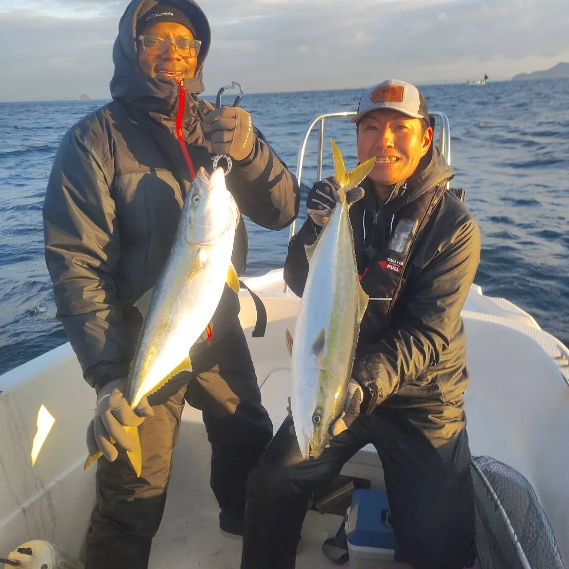 The most recent Japanese amberjack catches on Fishbrain