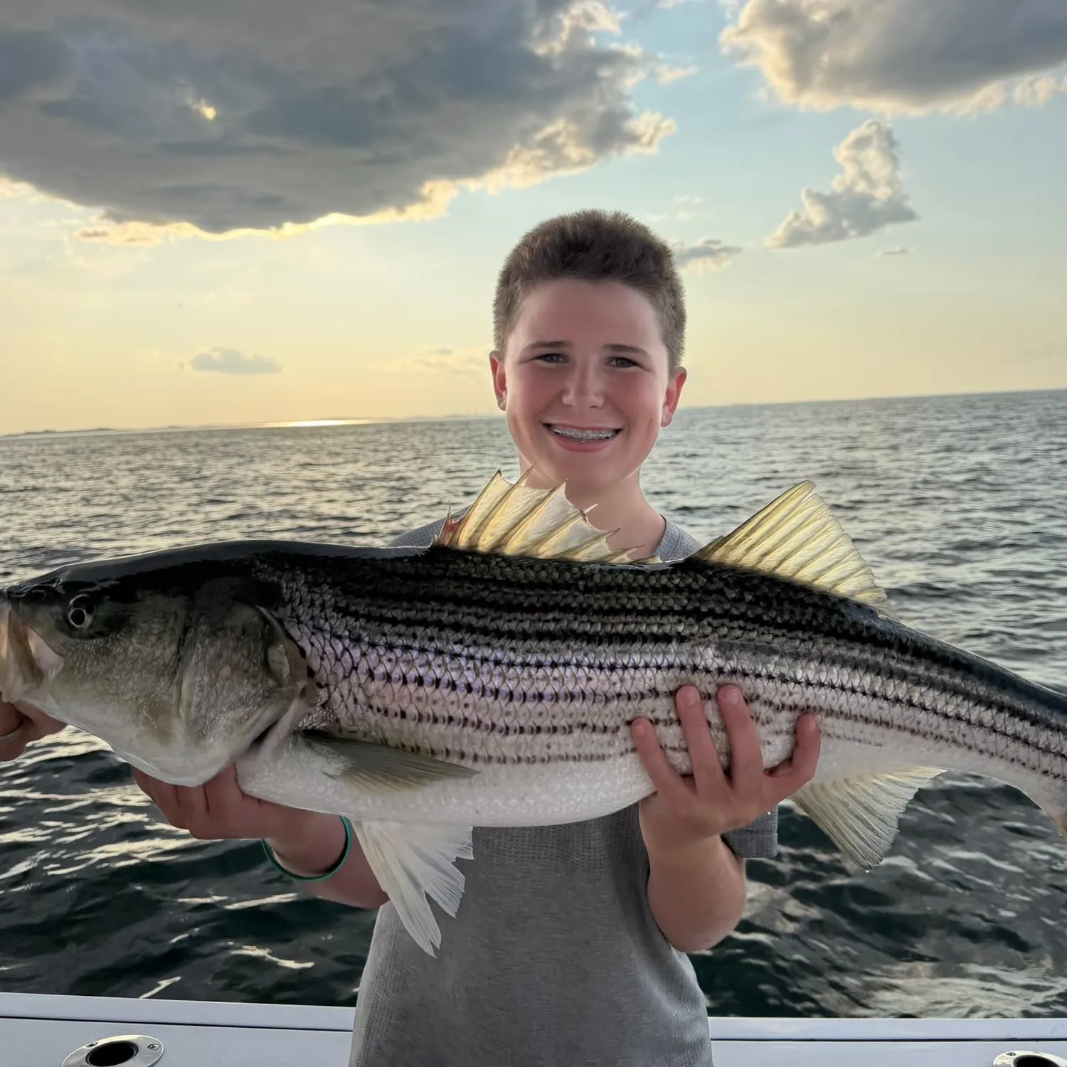 Striped bass caught on Fishbrain