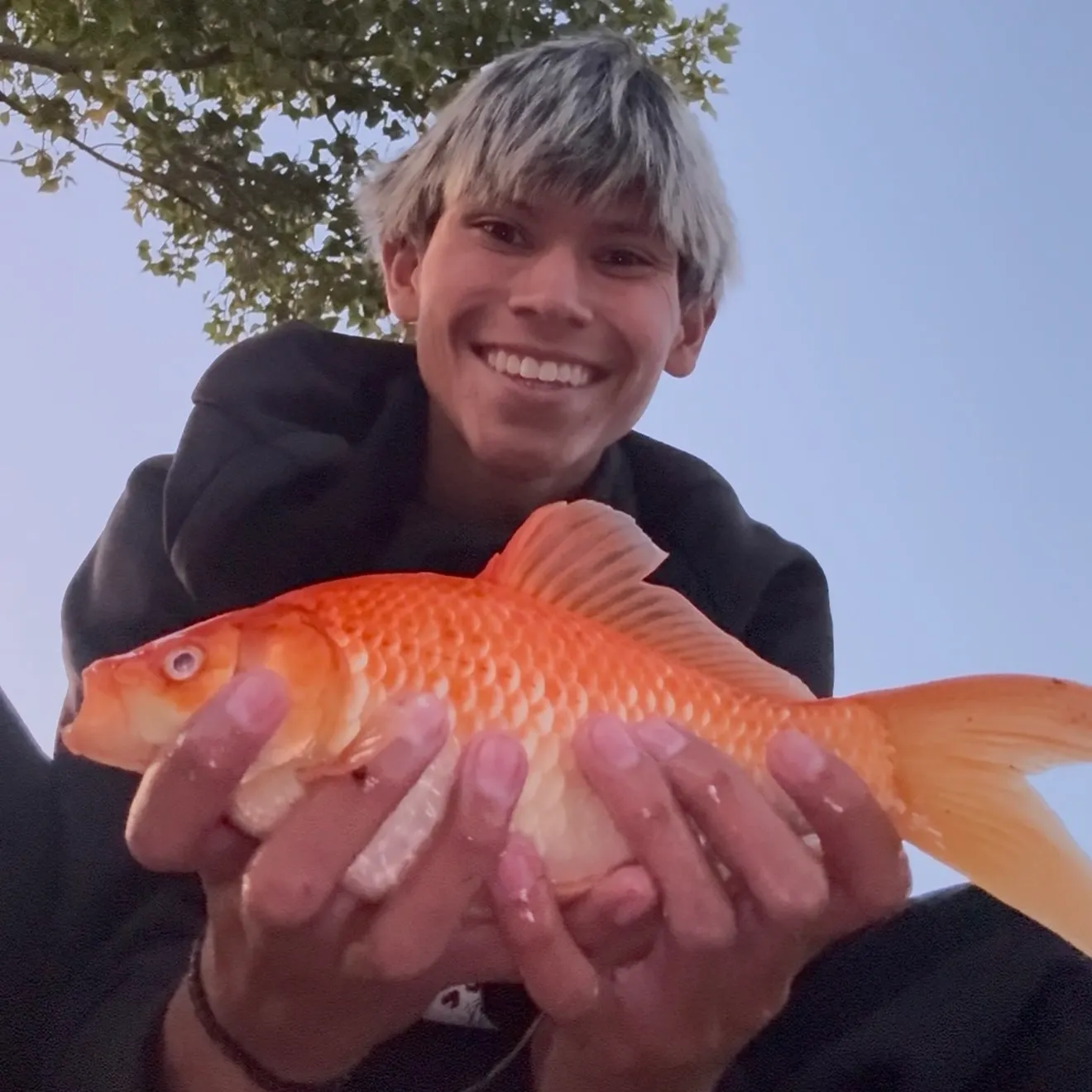 Goldfish caught on Fishbrain