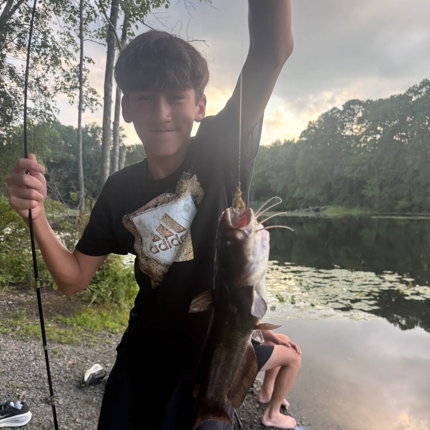 Black bullhead caught on Fishbrain