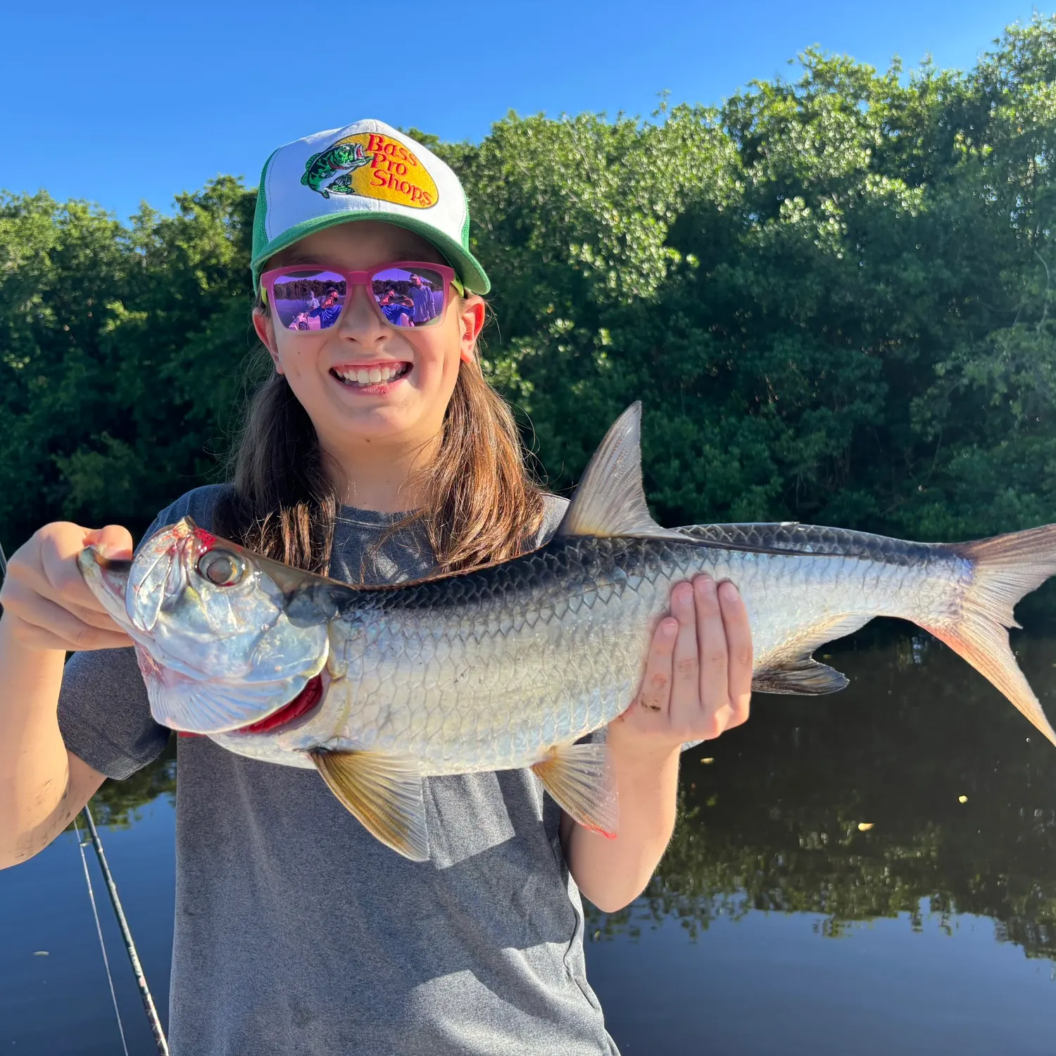 The most recent Tarpon catches on Fishbrain