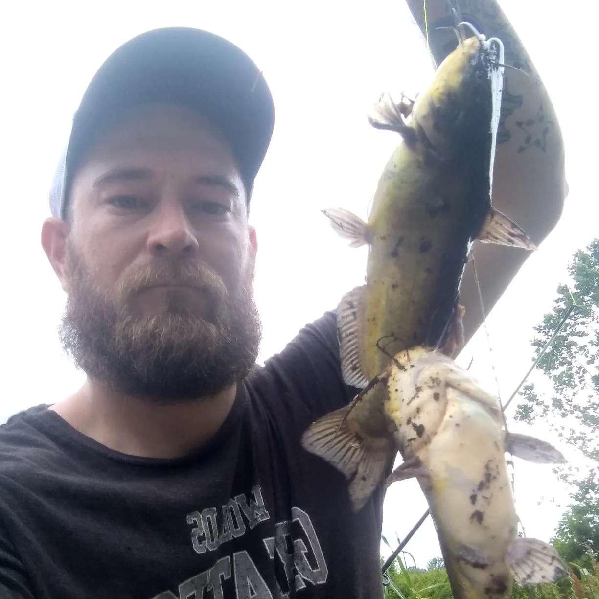 angler catch