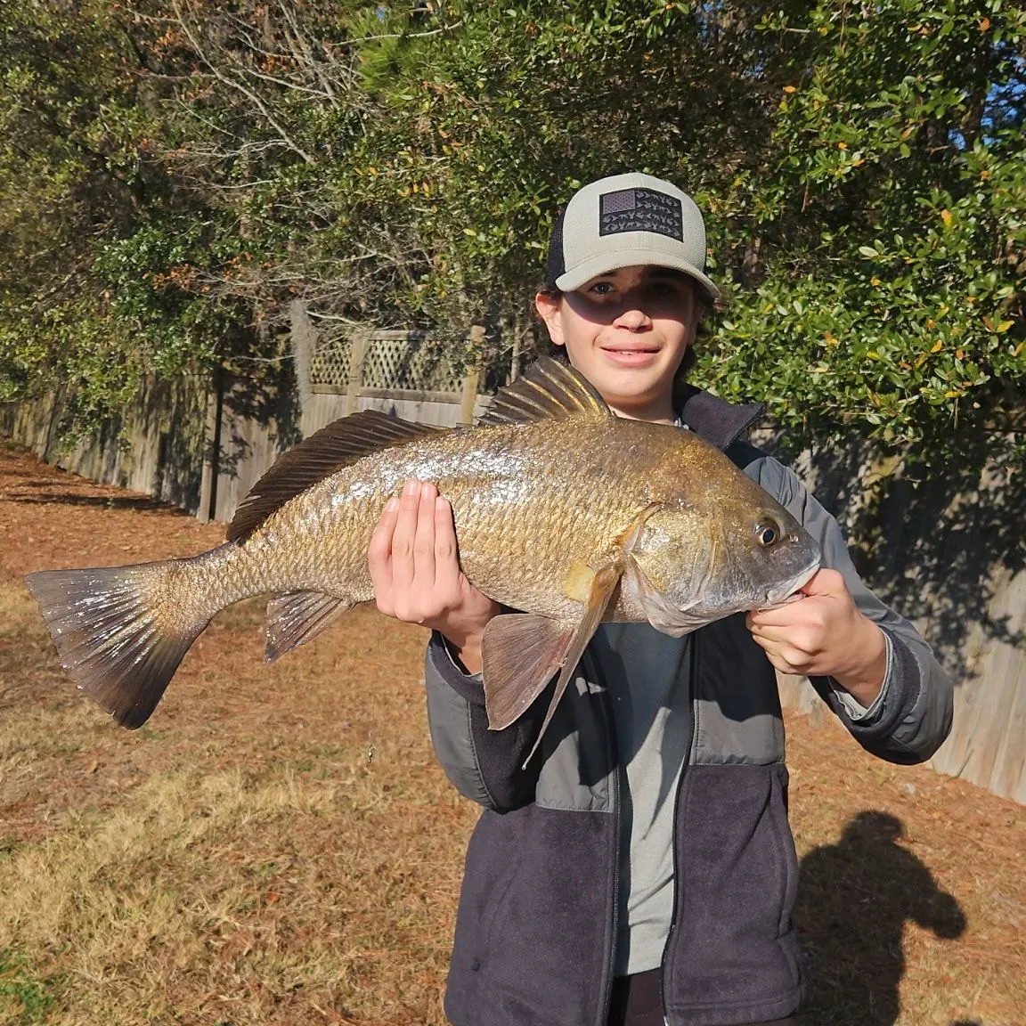 The most recent Black drum catches on Fishbrain