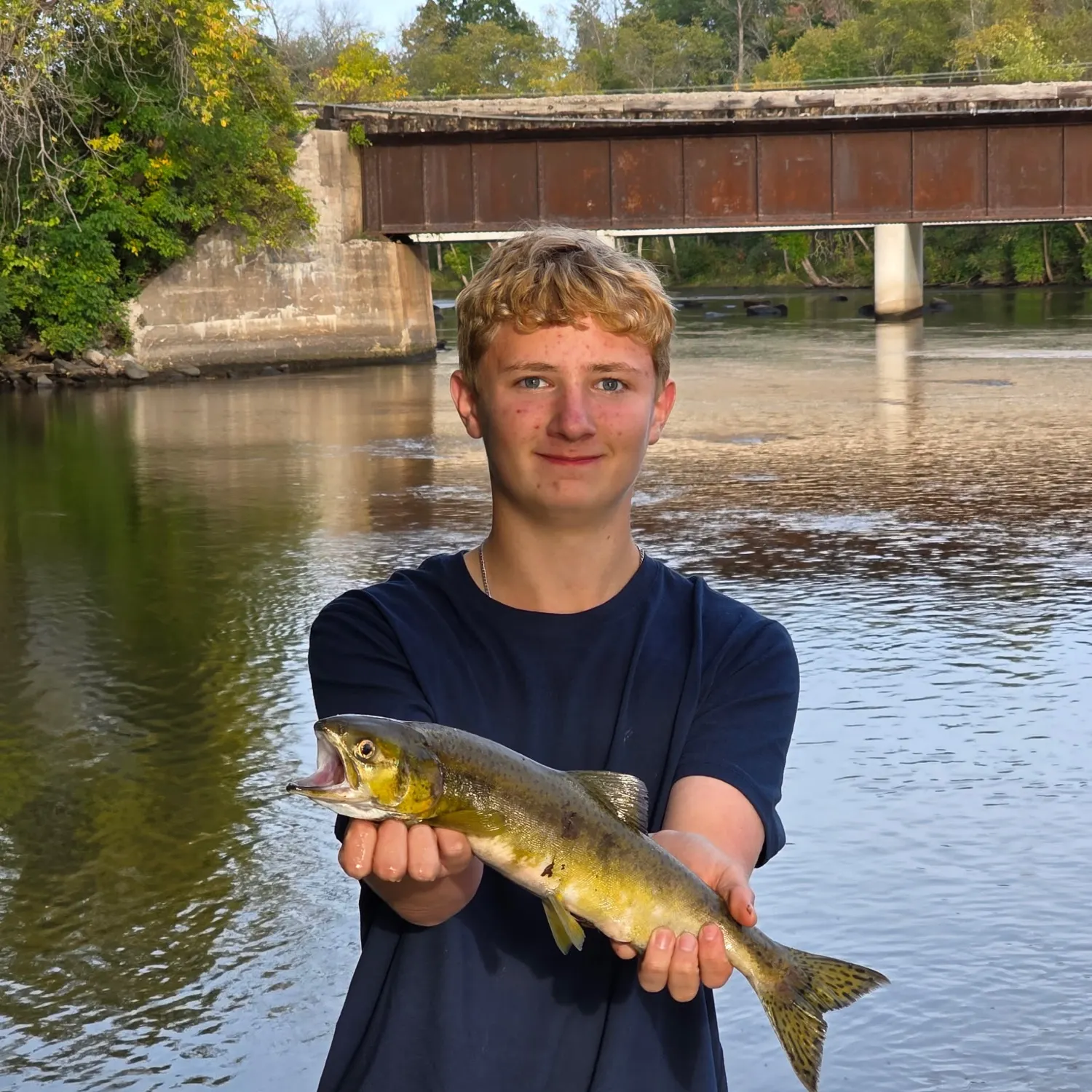 Pink salmon caught on Fishbrain
