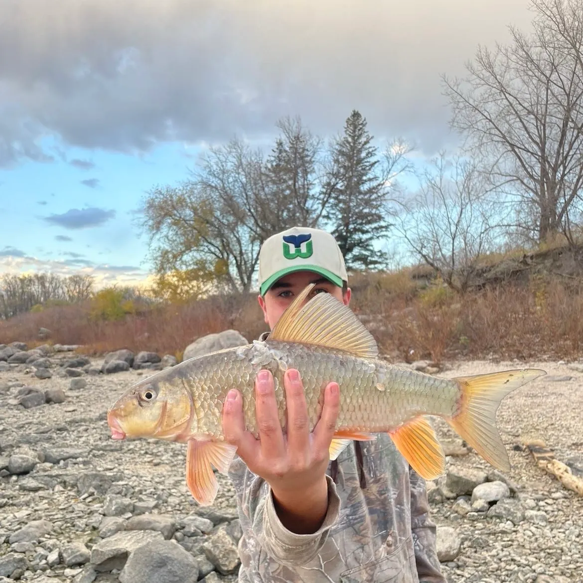Silver redhorse caught on Fishbrain