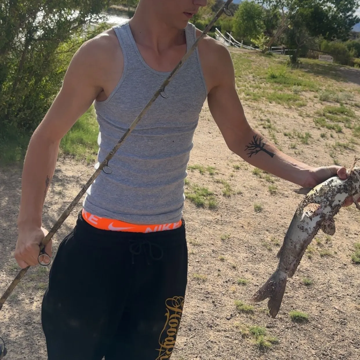 Channel catfish caught on Fishbrain