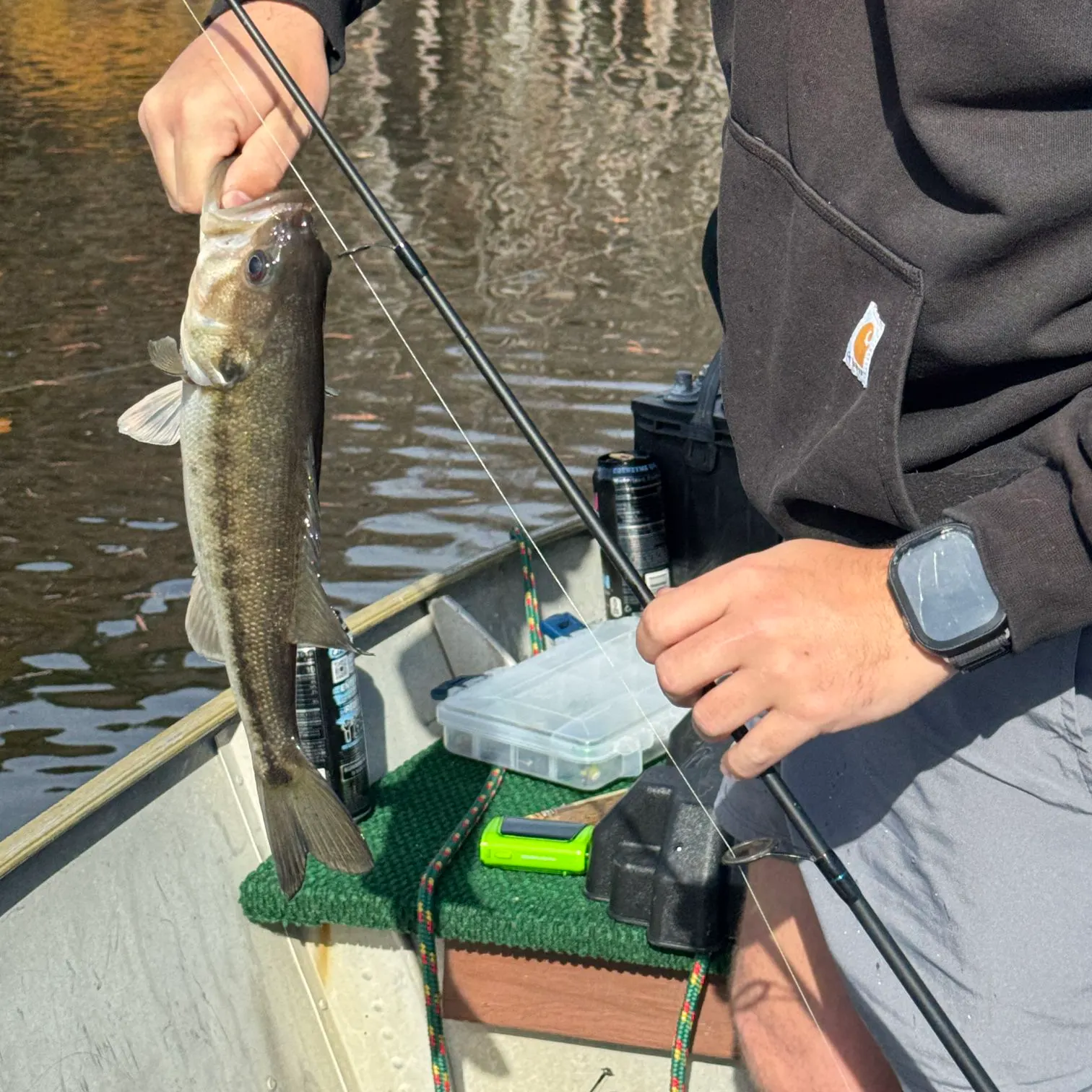 recently logged catches