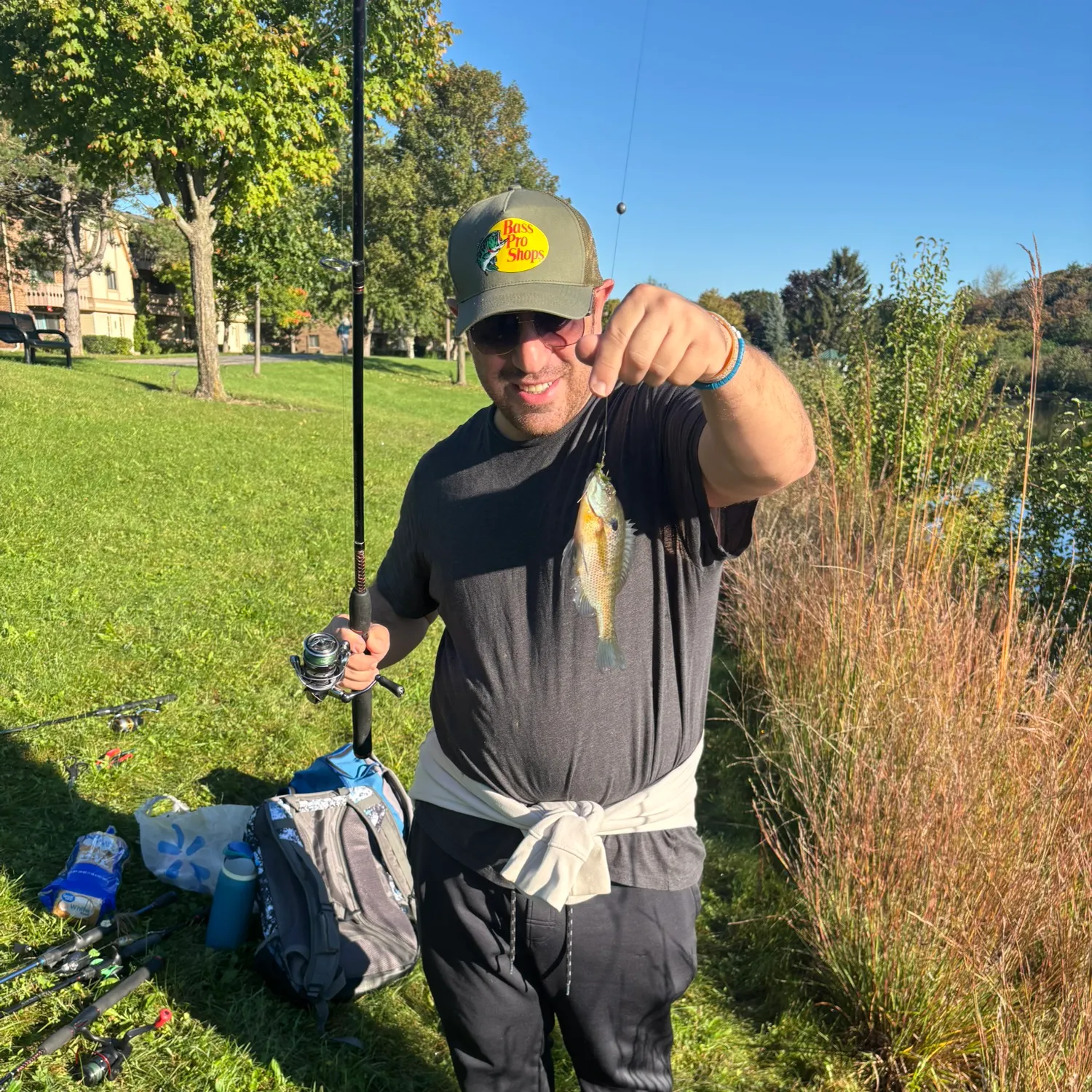 Bluegill caught on Fishbrain