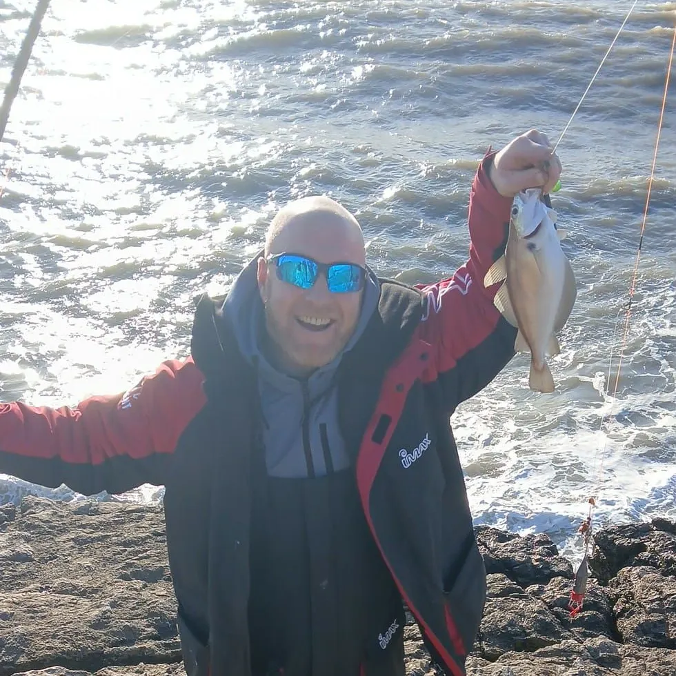 The most recent Pouting catches on Fishbrain