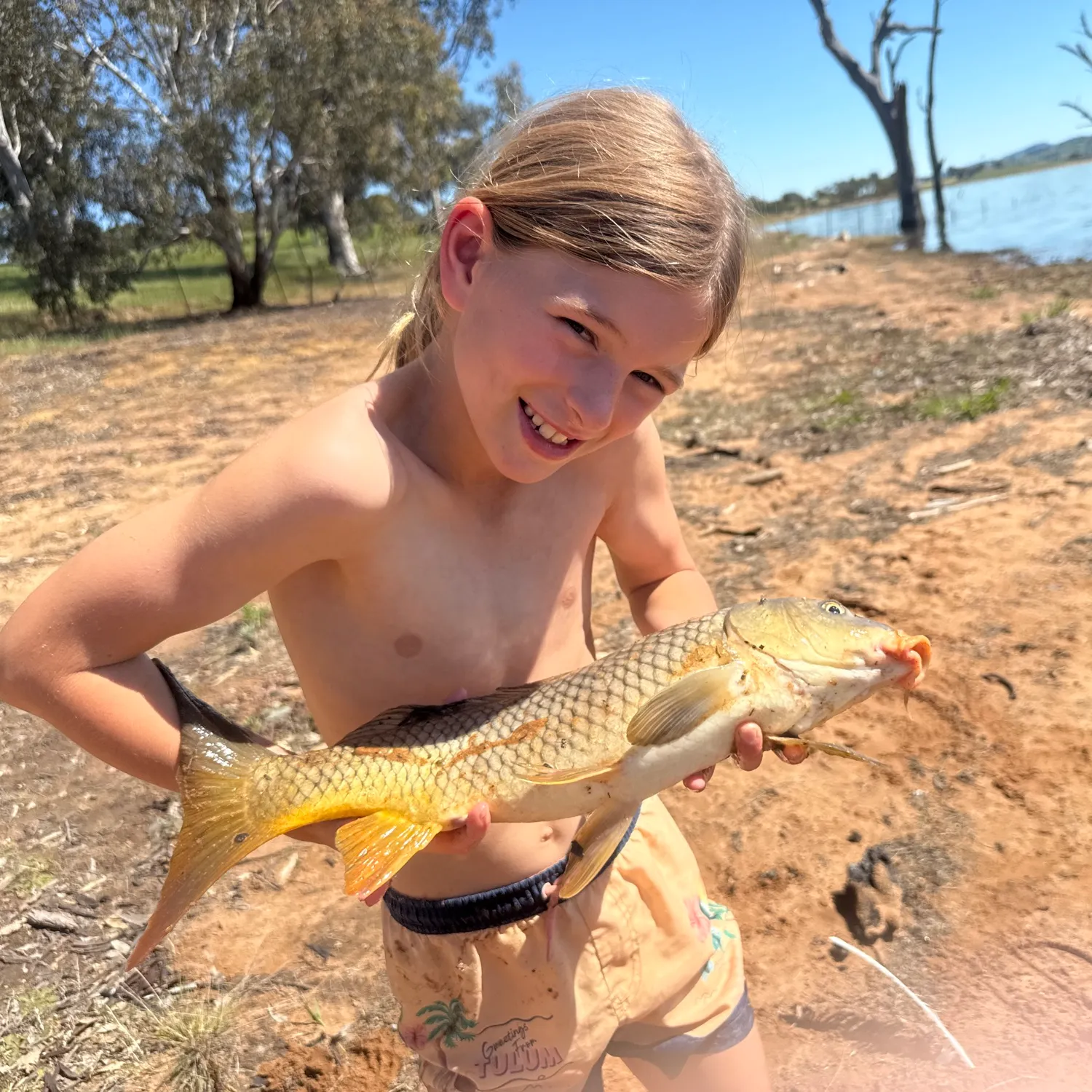 Common carp caught on Fishbrain