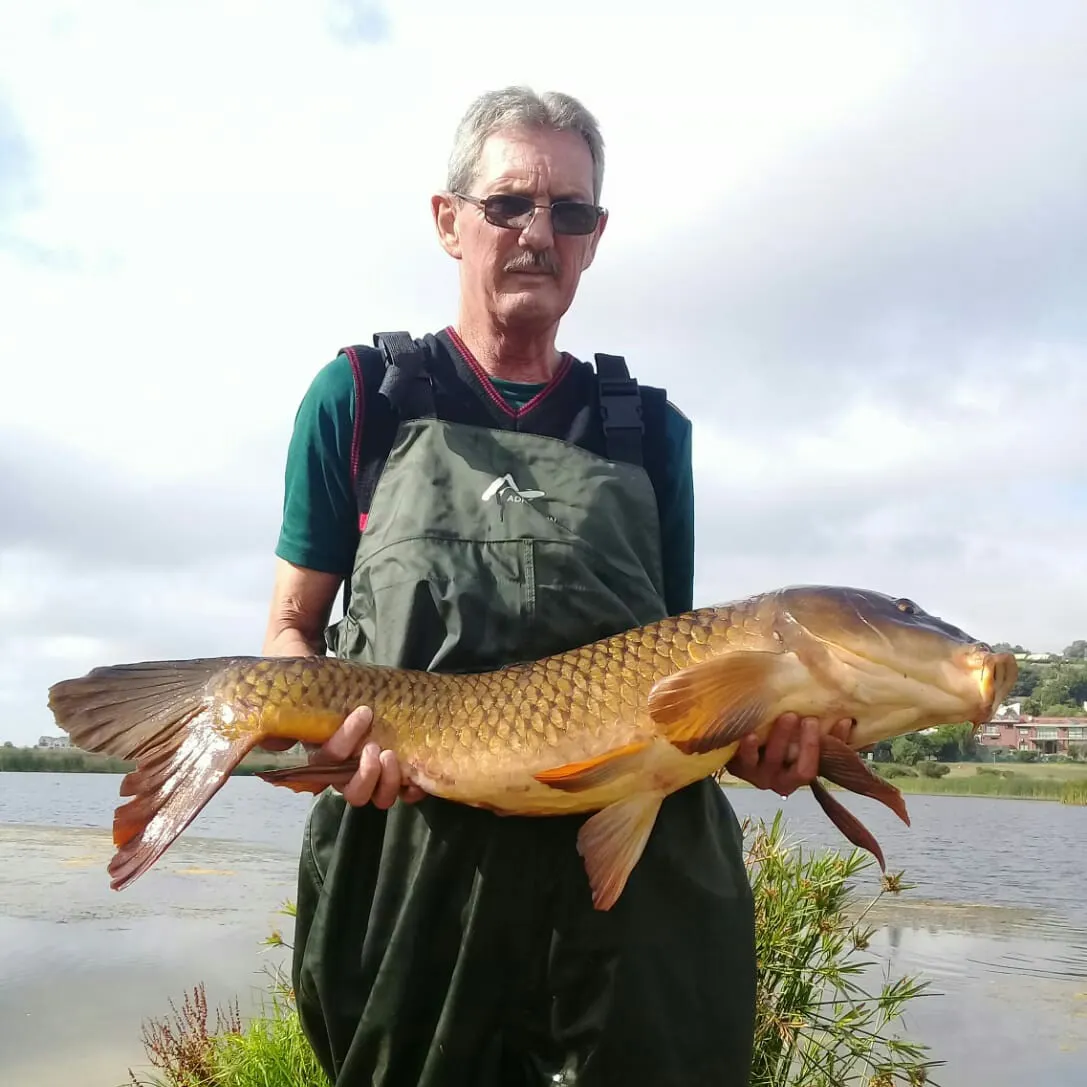 angler catch