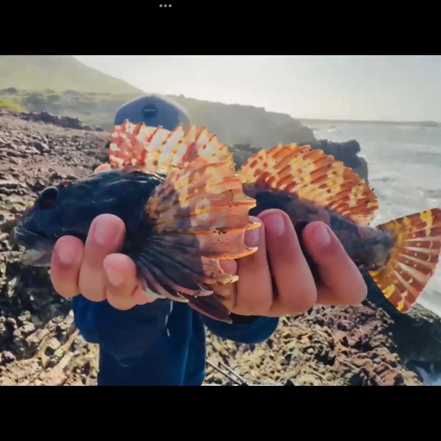 most liked catch image