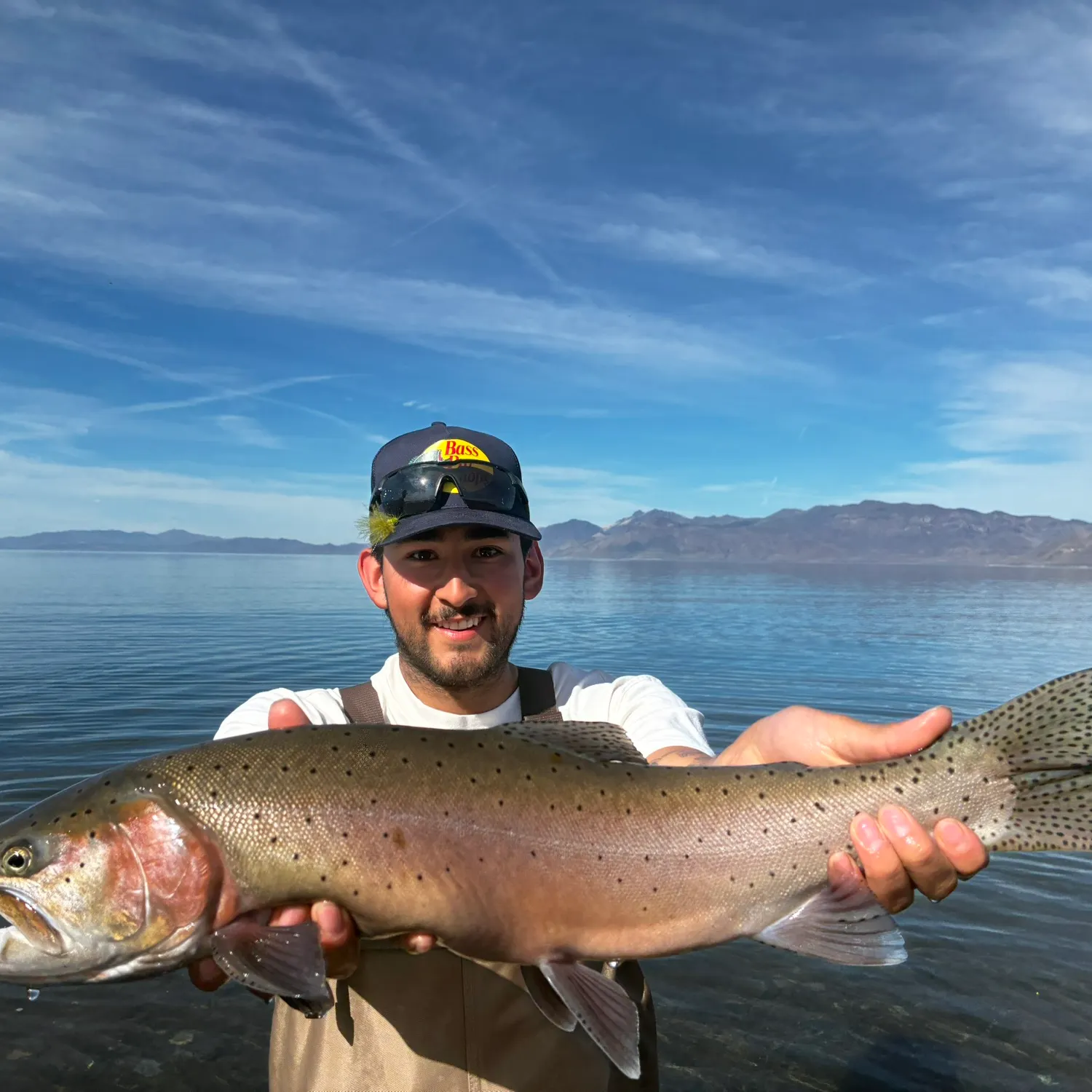 The most recent Lahontan cutthroat trout catches on Fishbrain