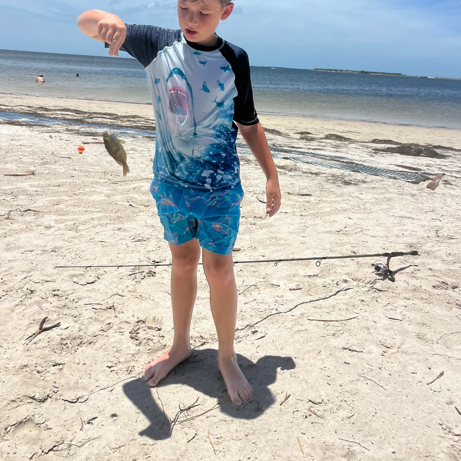 The most recent Grey grunt catches on Fishbrain