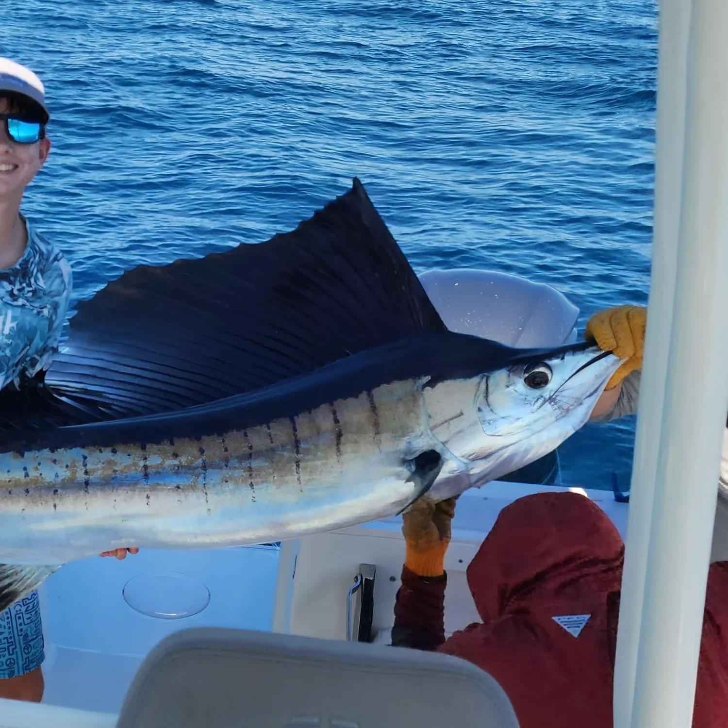 The most recent Atlantic sailfish catches on Fishbrain