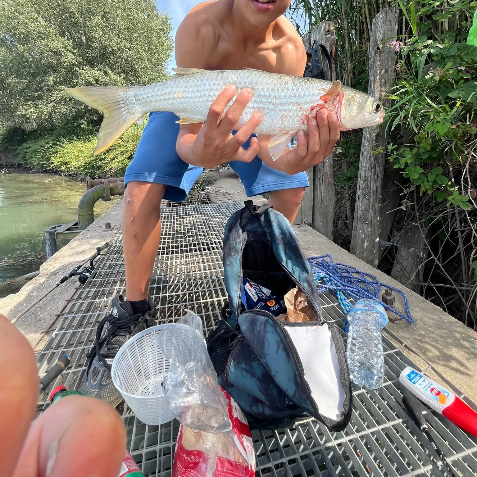 The most recent Thicklip grey mullet catches on Fishbrain
