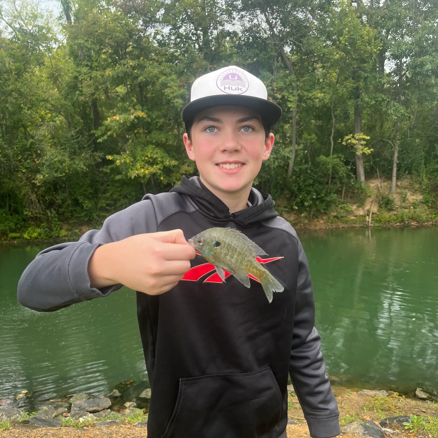 Bluegill caught on Fishbrain
