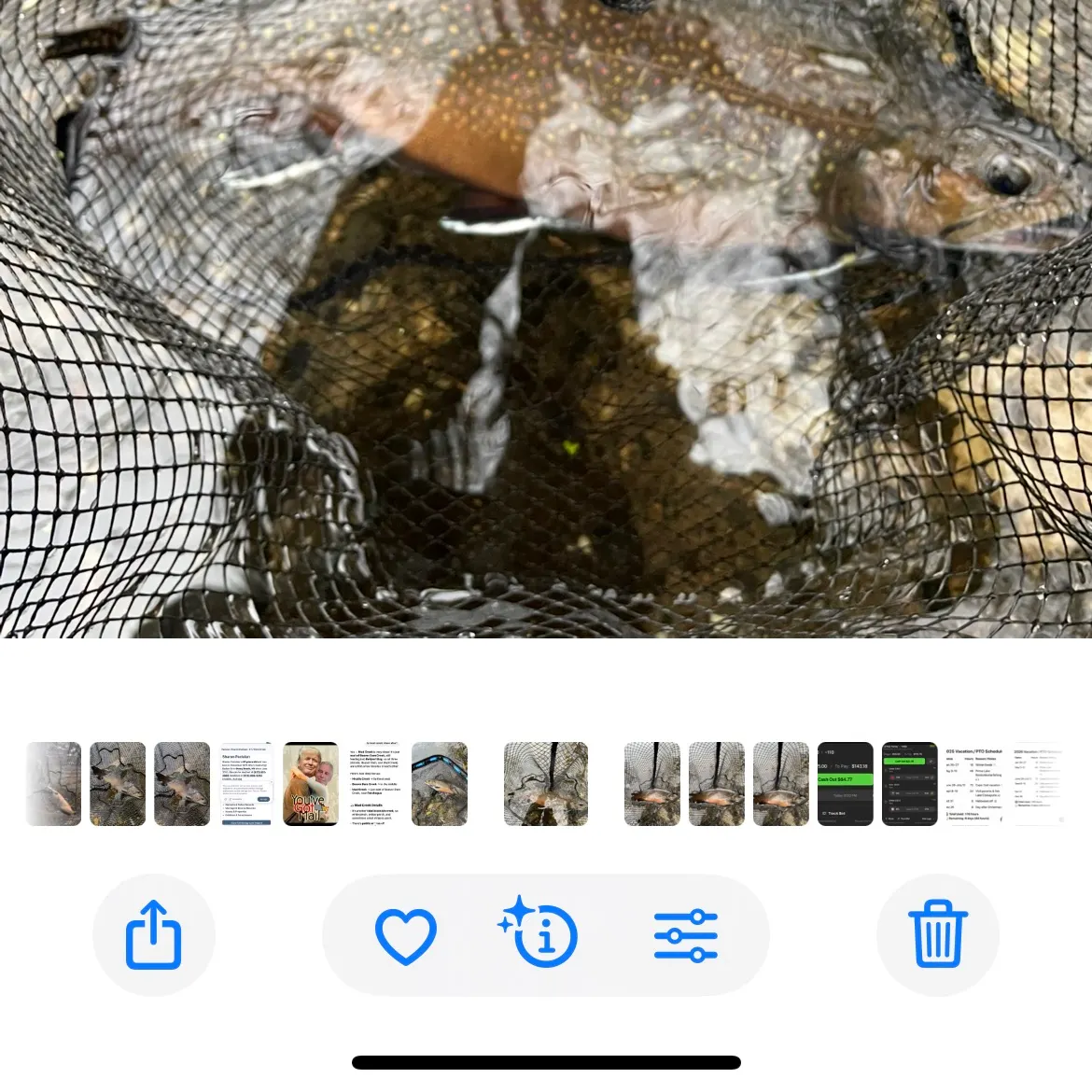 recently logged catches