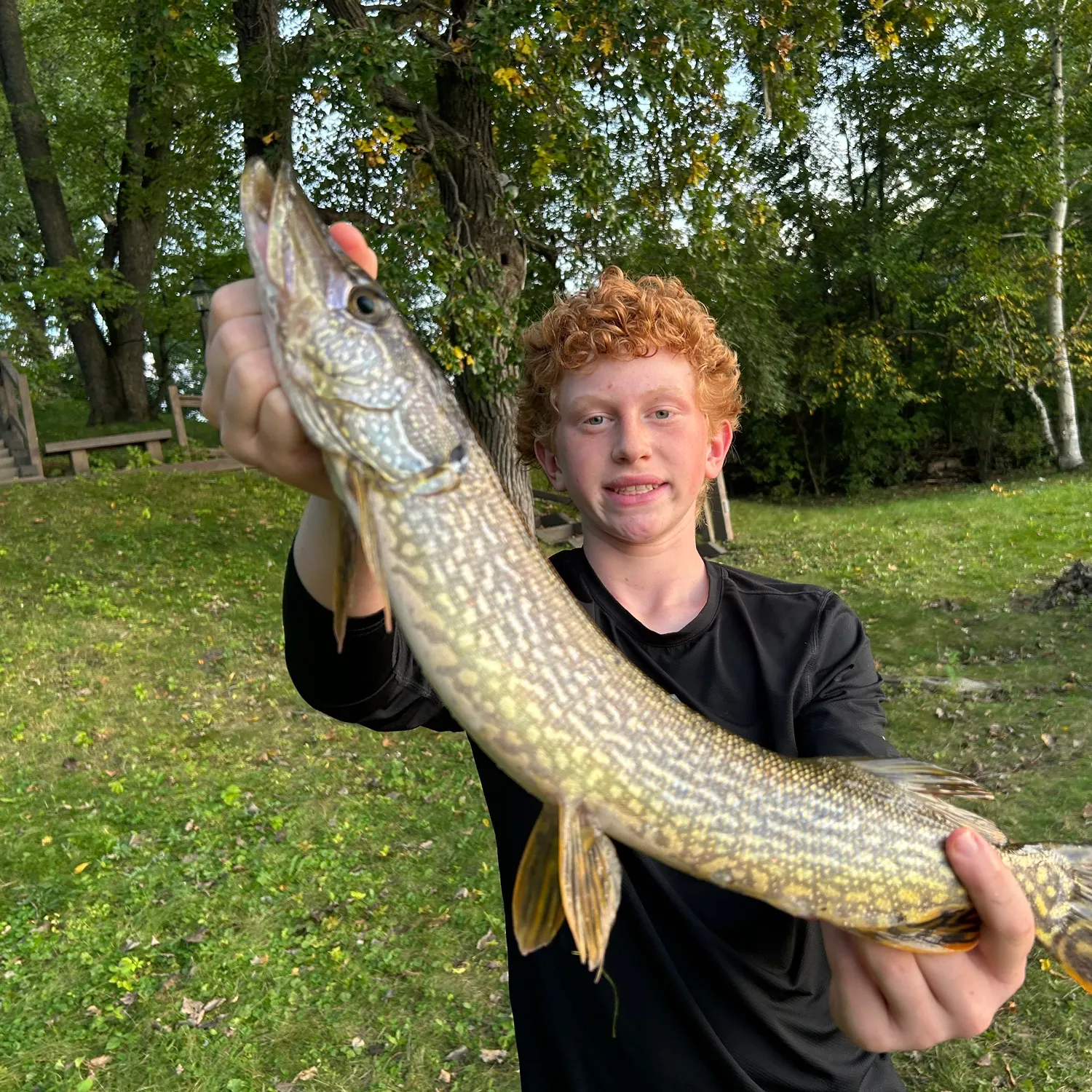 Northern pike caught on Fishbrain