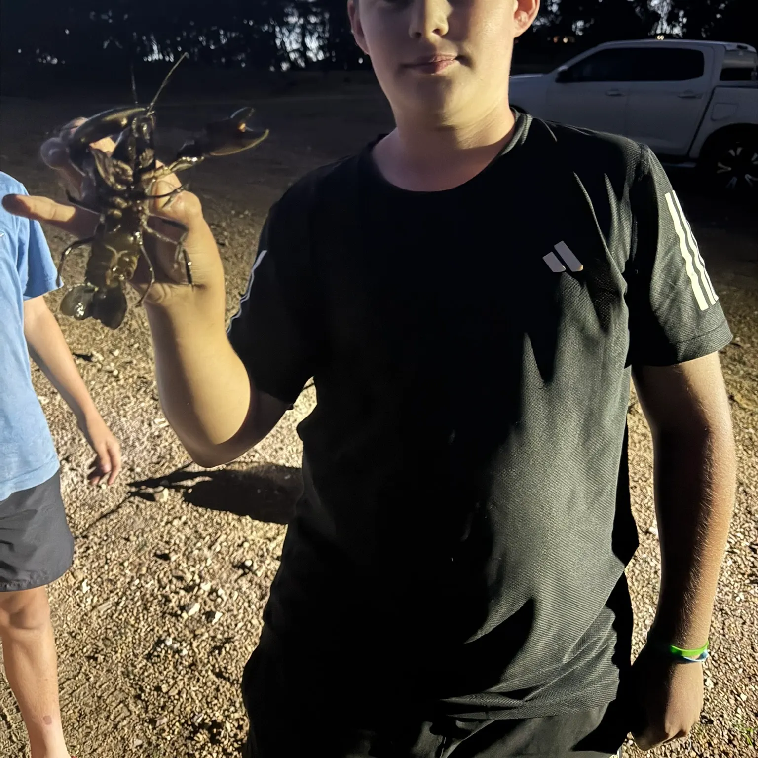 The most recent Common yabby catches on Fishbrain