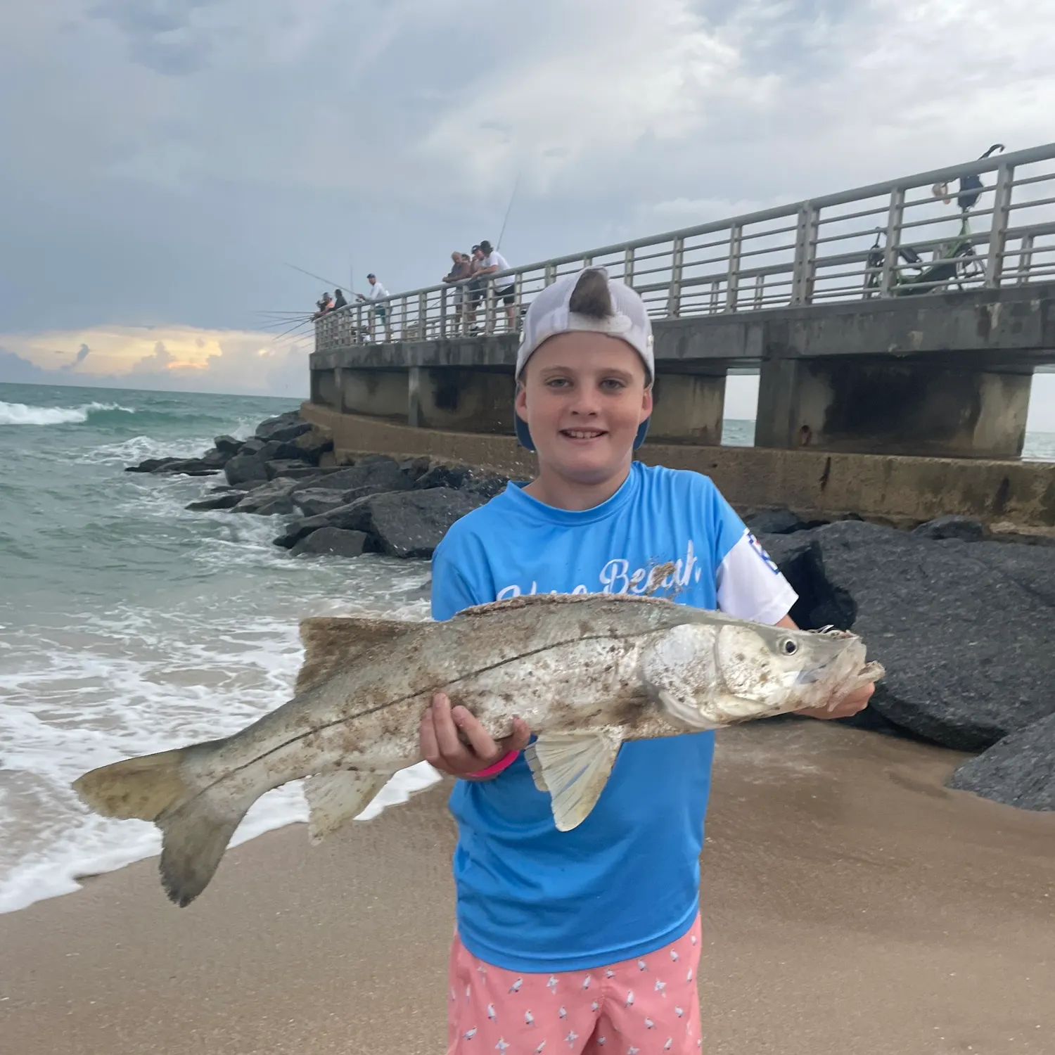 The most recent Common snook catches on Fishbrain