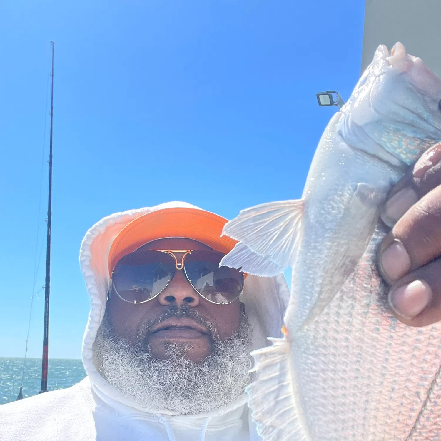 The most recent Silver porgy catches on Fishbrain