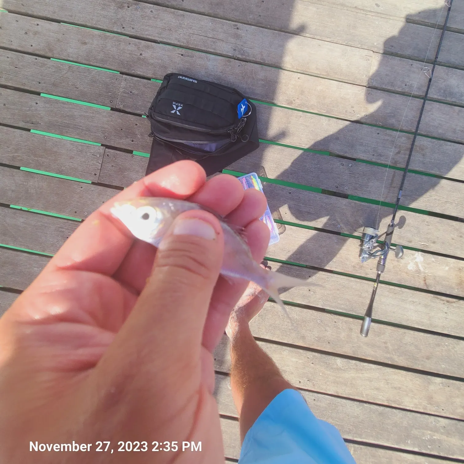 recently logged catches