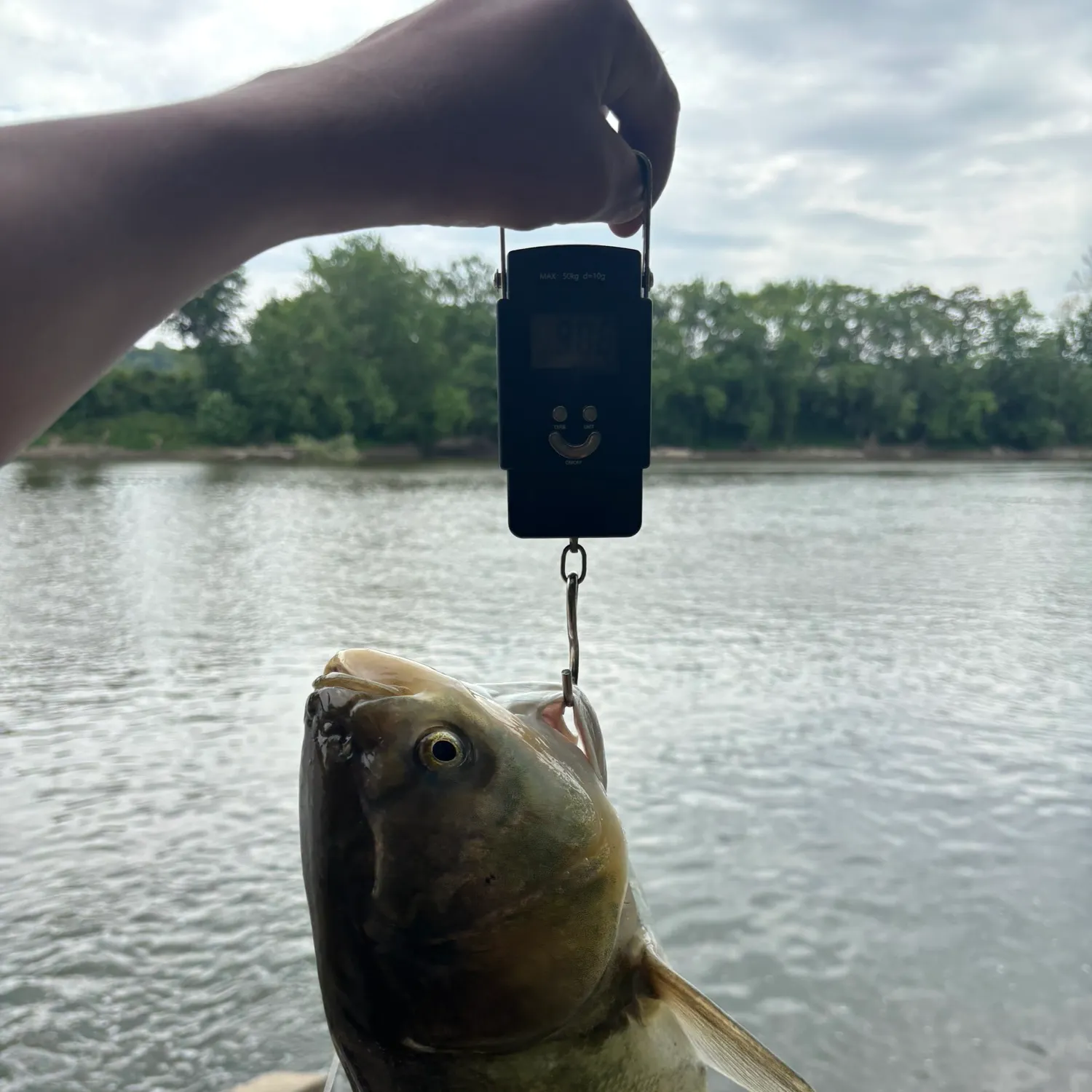 The most recent Silver carp catches on Fishbrain
